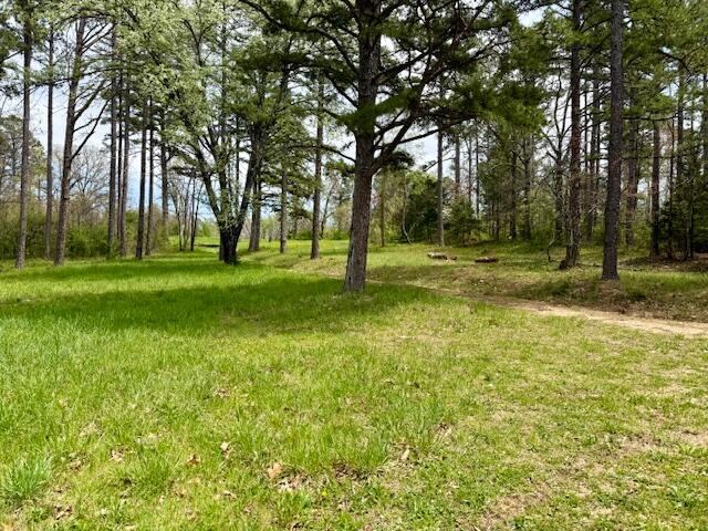 5484 Mily Street Property Photo 1