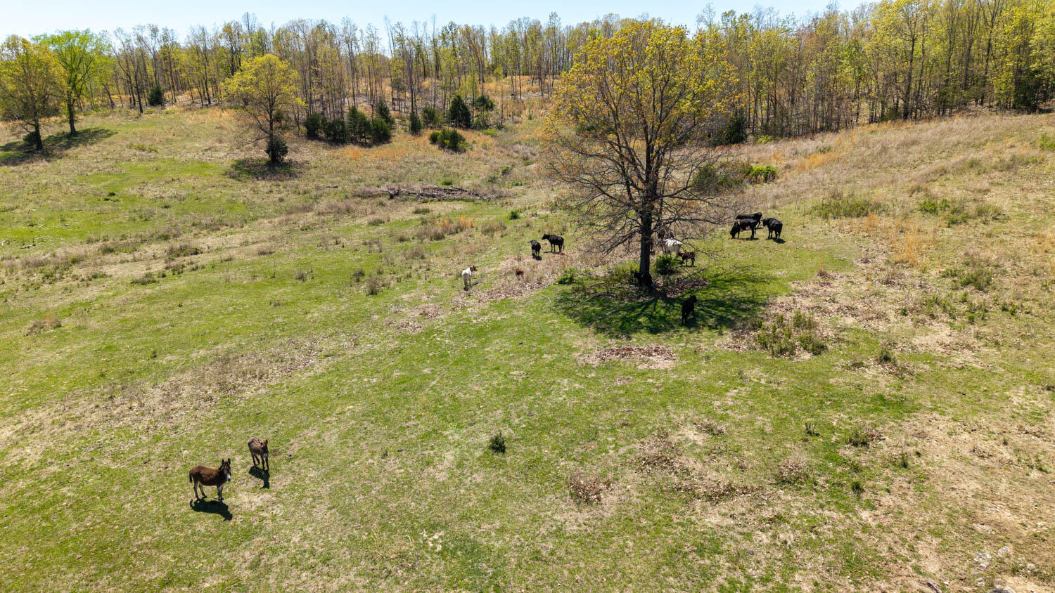 7260 County Road 9580 Property Photo 59