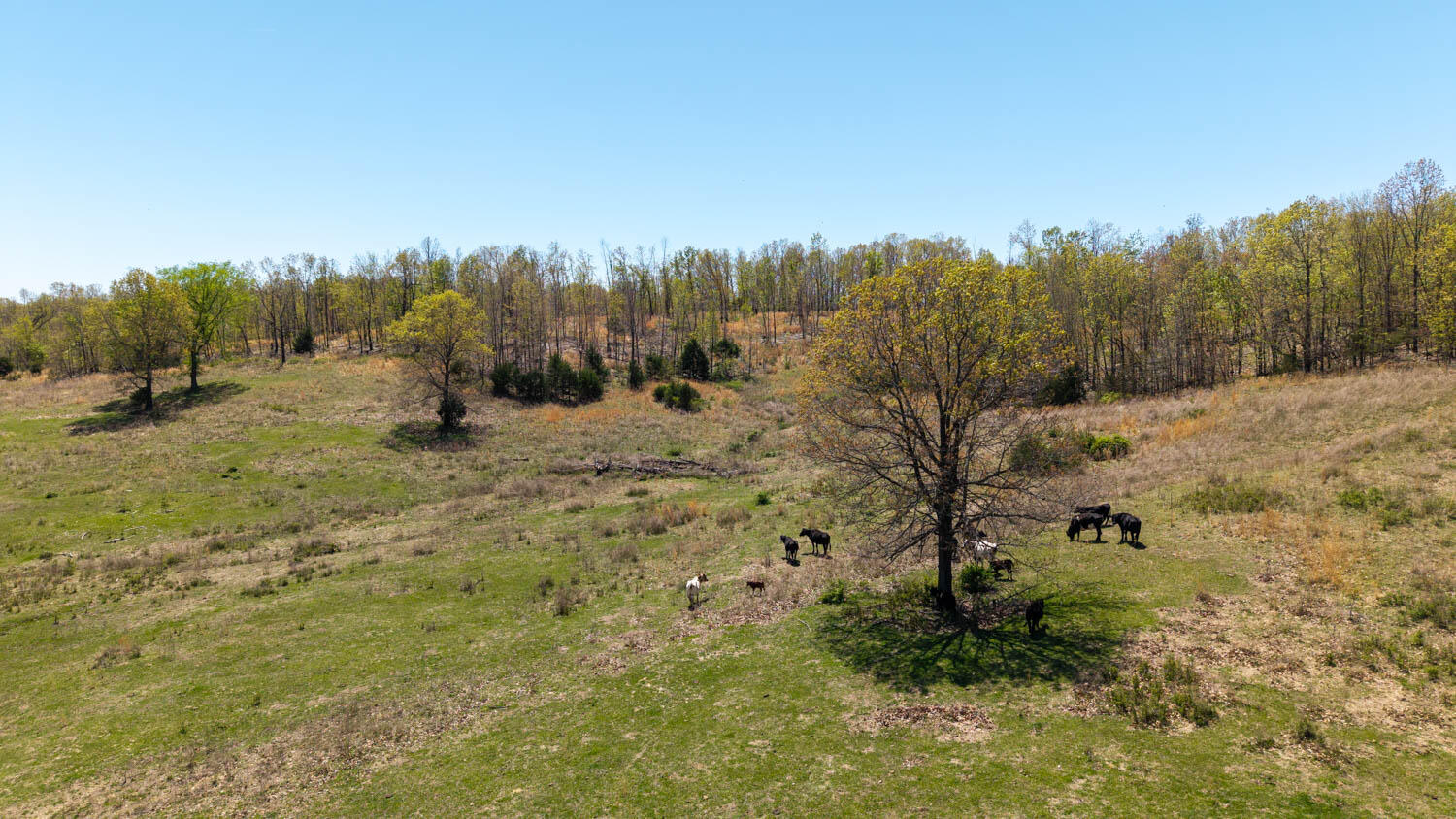 7260 County Road 9580 Property Photo 60