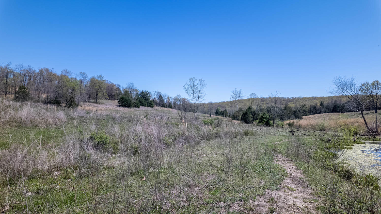 7260 County Road 9580 Property Photo 67