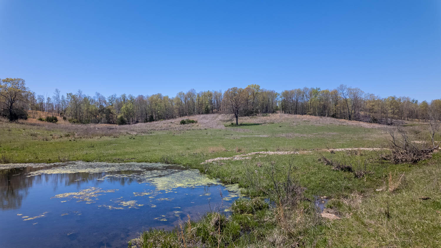 7260 County Road 9580 Property Photo 70