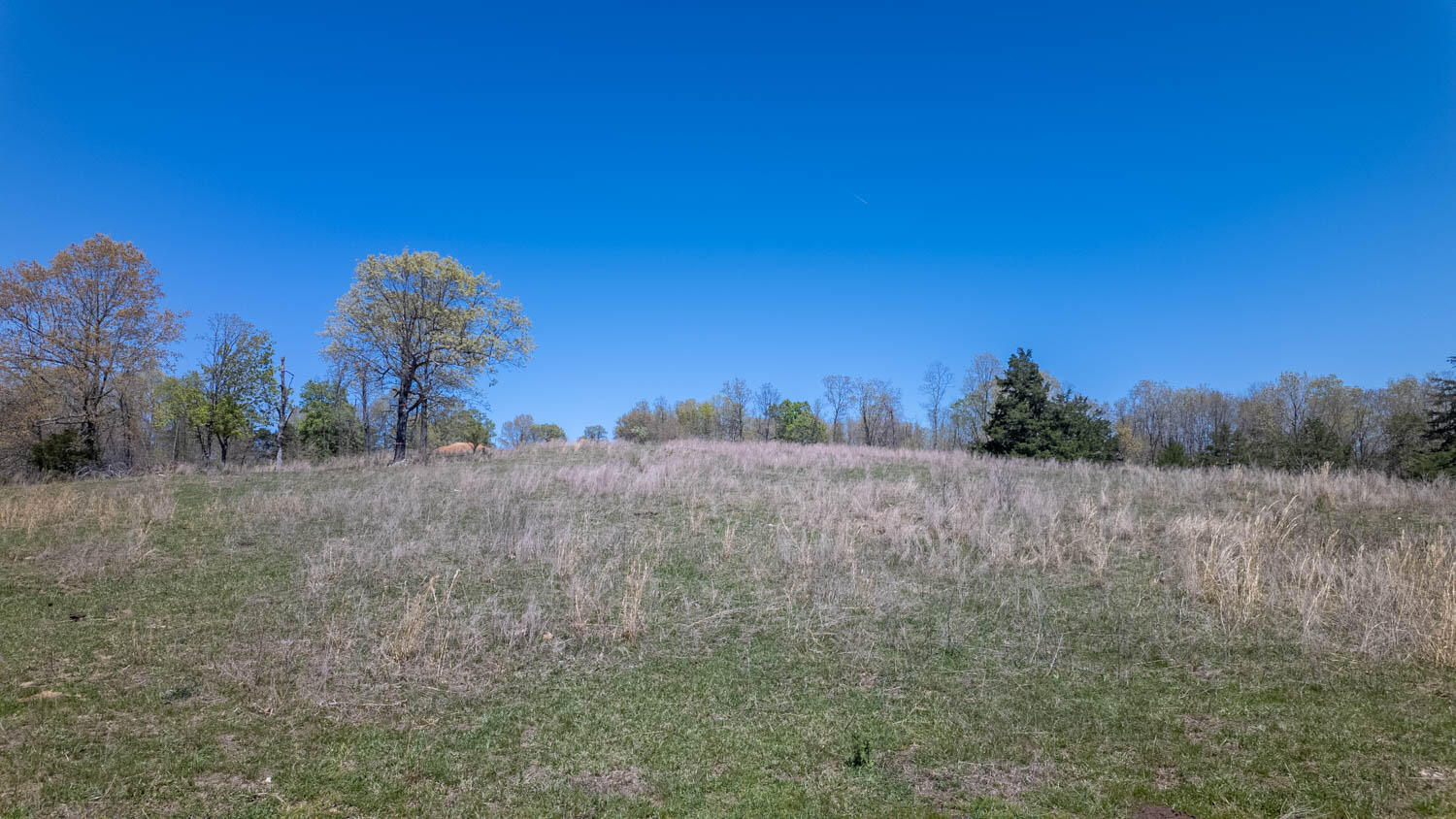 7260 County Road 9580 Property Photo 71