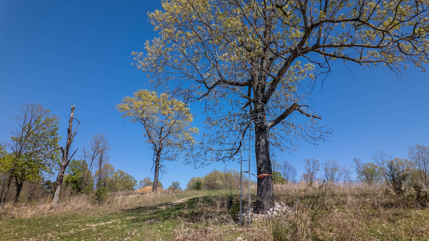 7260 County Road 9580 Property Photo 72