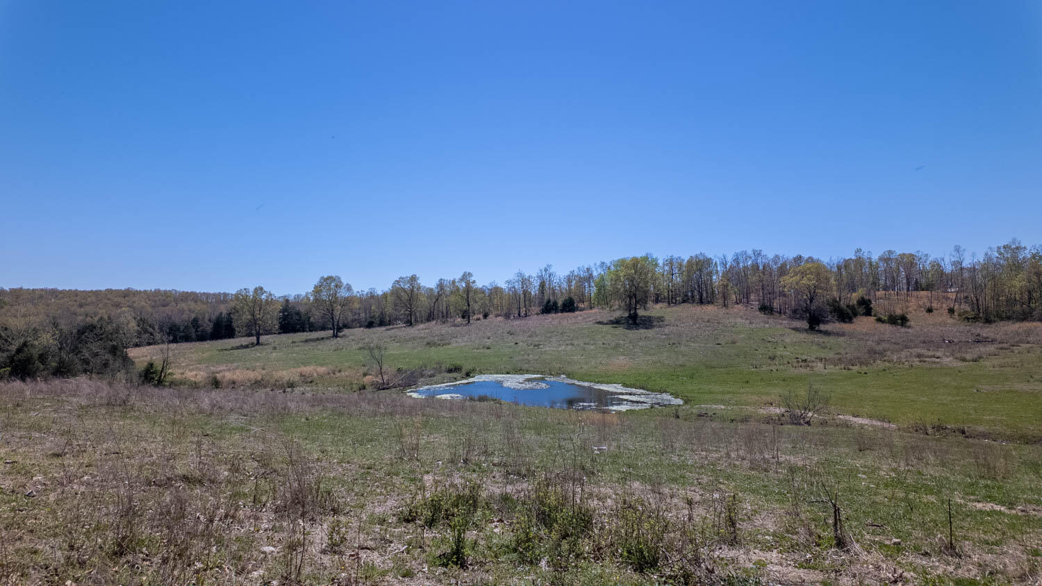 7260 County Road 9580 Property Photo 74