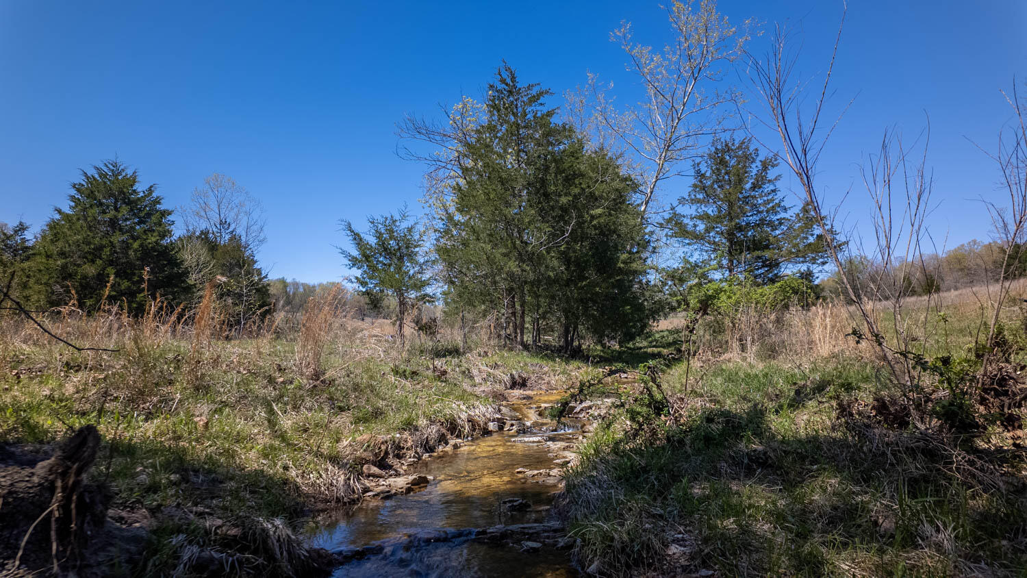 7260 County Road 9580 Property Photo 77