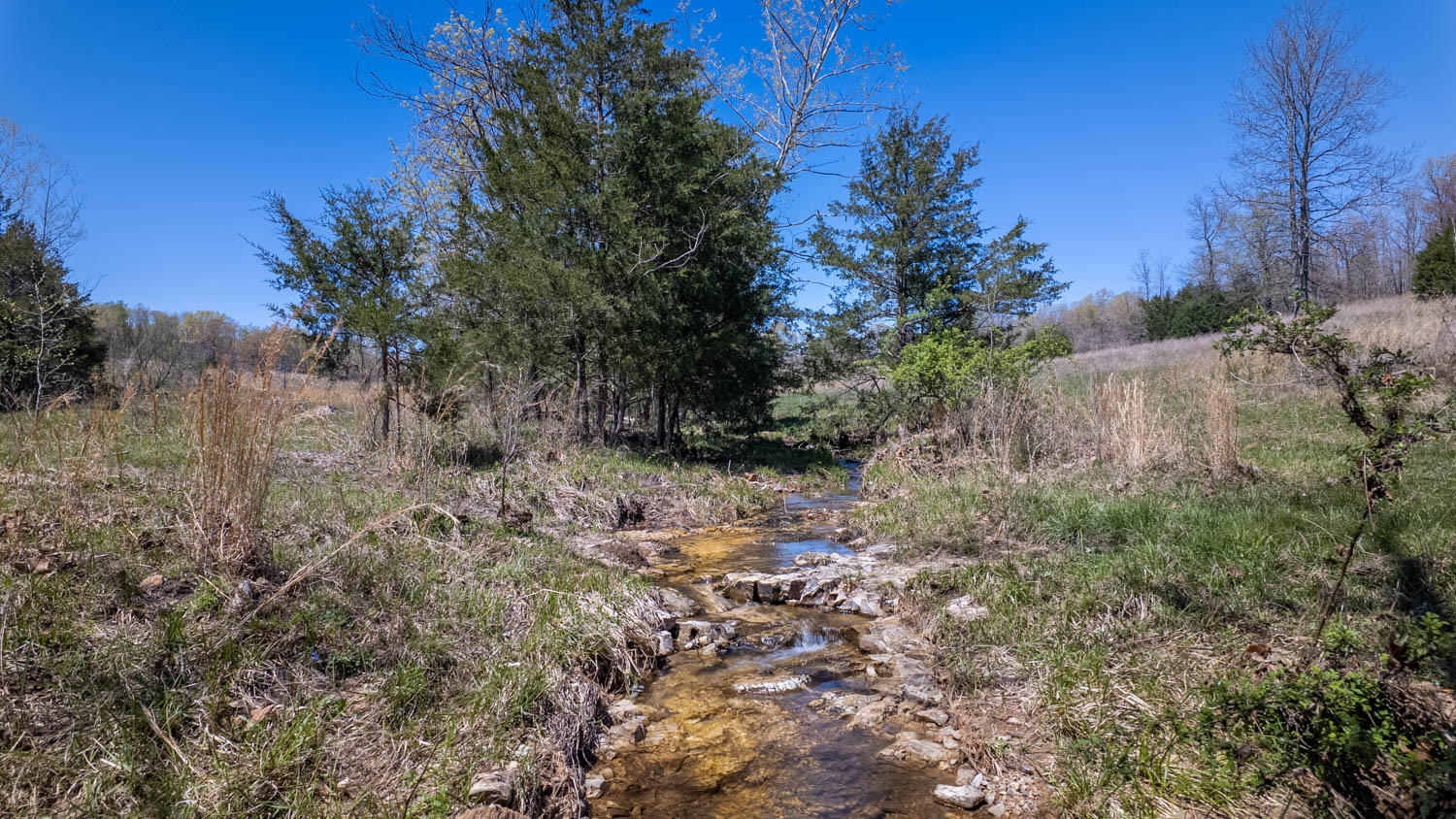 7260 County Road 9580 Property Photo 79