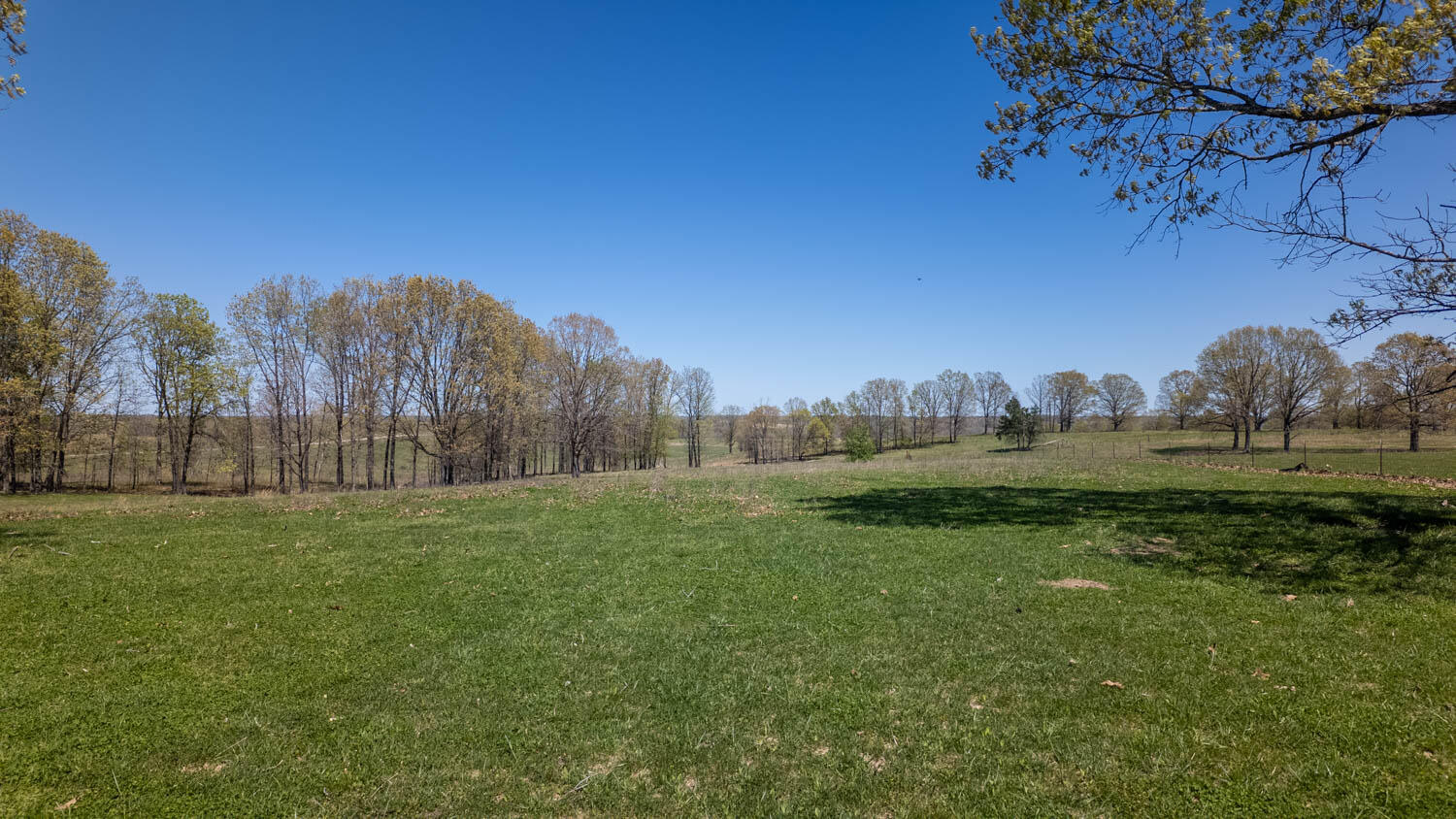 7260 County Road 9580 Property Photo 81