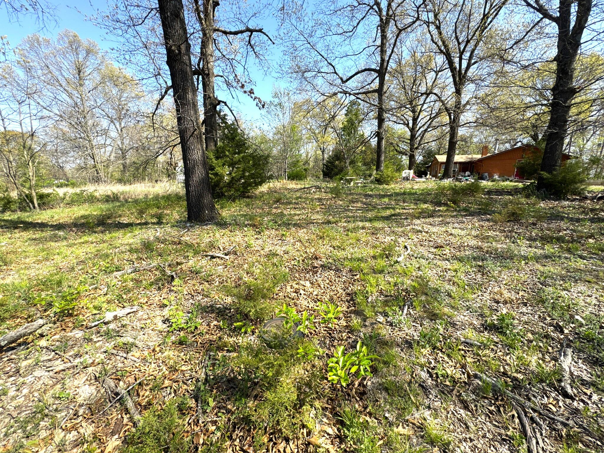 1751 Goff Ridge Road Property Photo