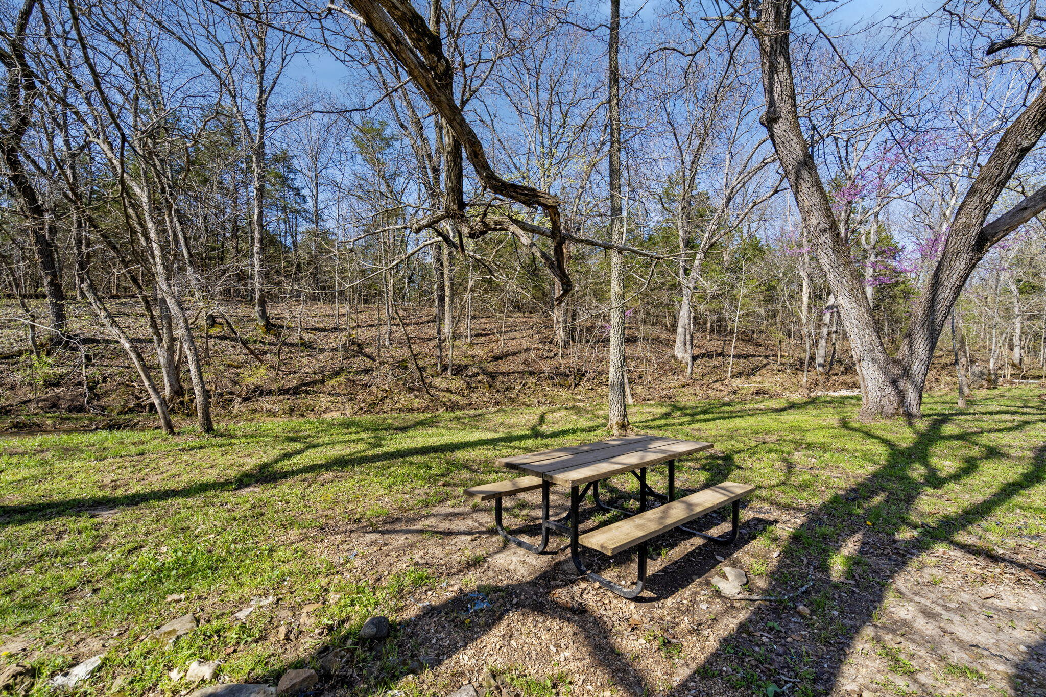 118 Bethel Road Property Photo 22