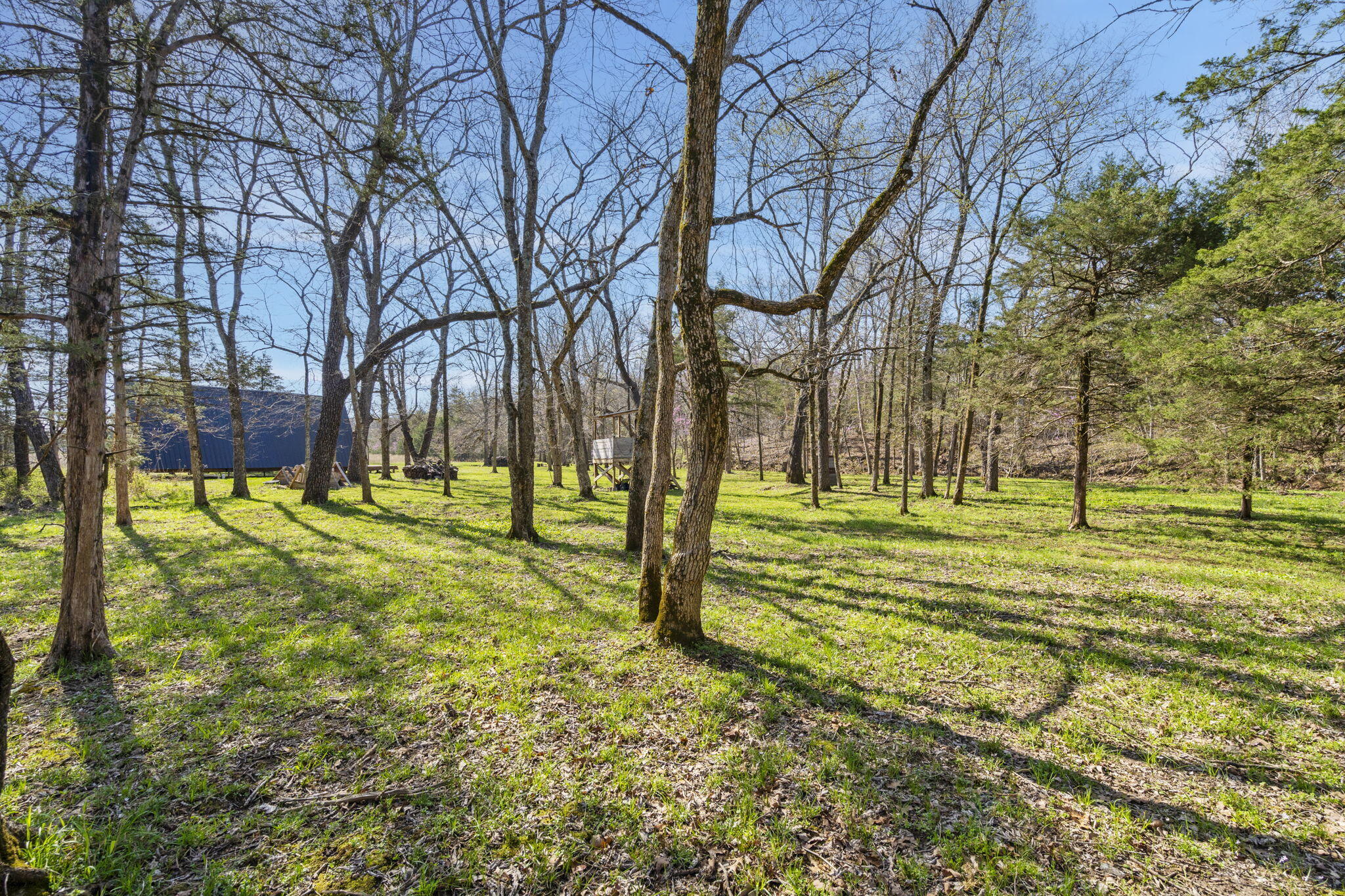 118 Bethel Road Property Photo 25