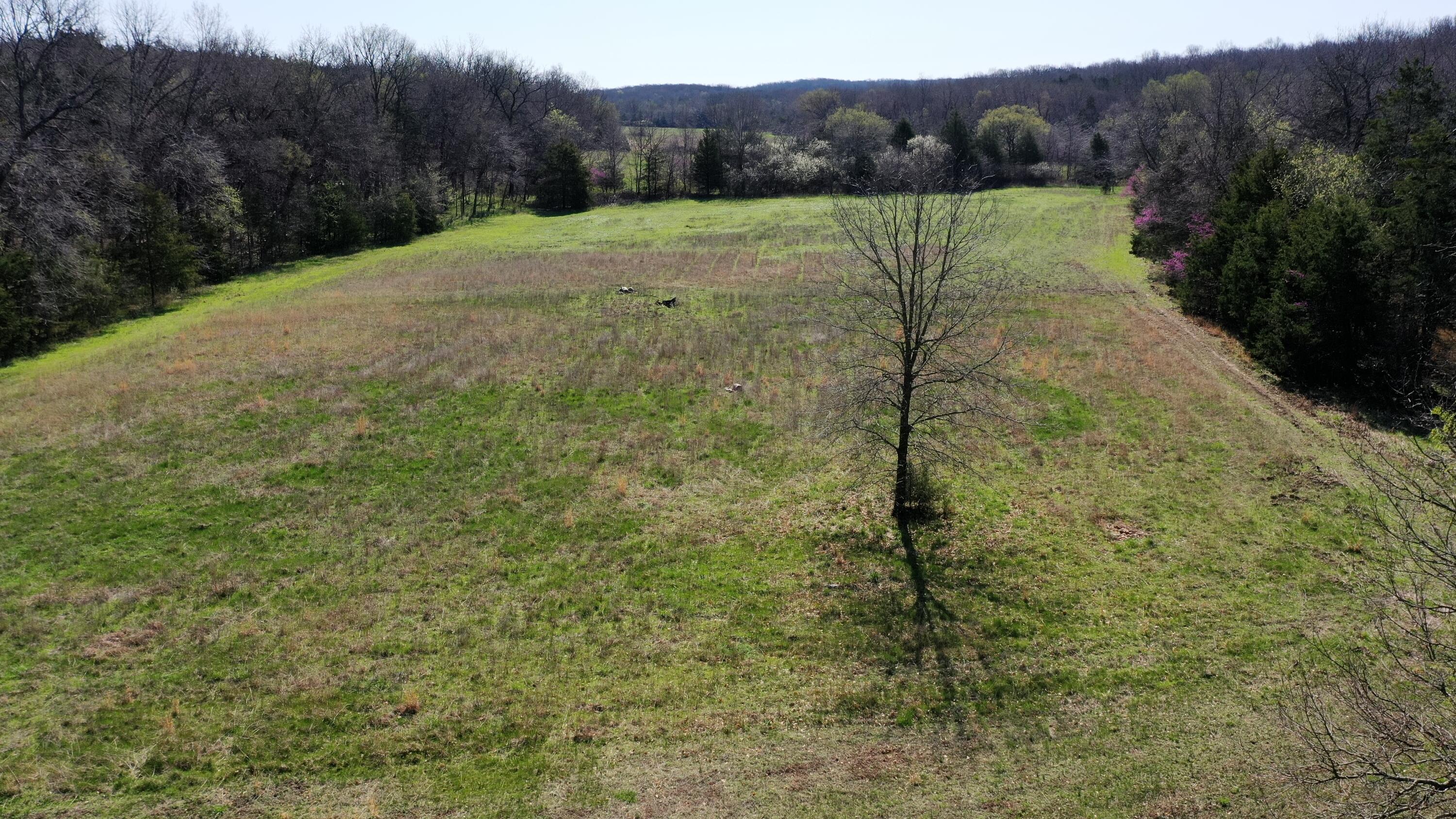 118 Bethel Road Property Photo 36