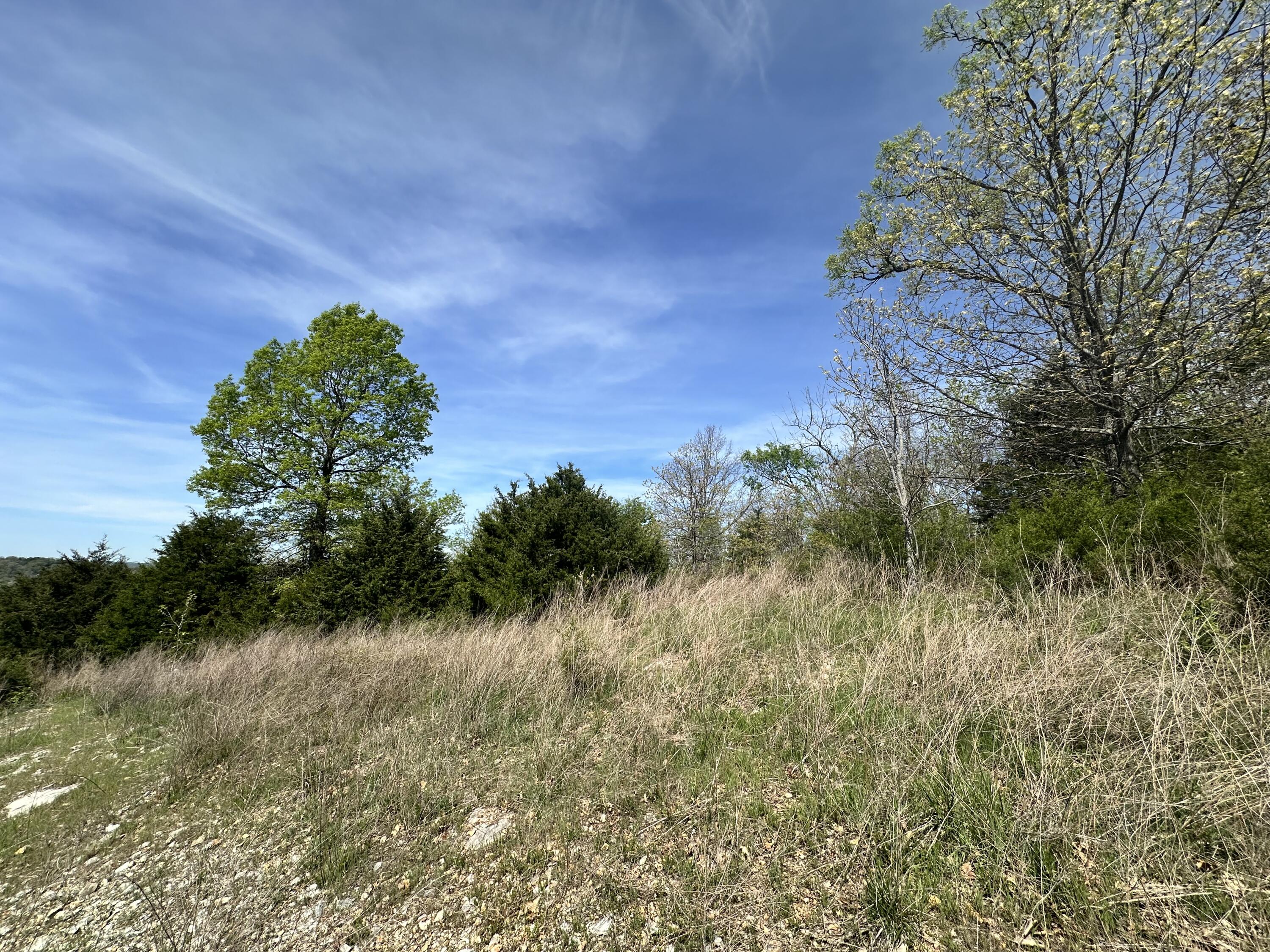 Lot 25 Hanging Branch Ridge Road Property Photo