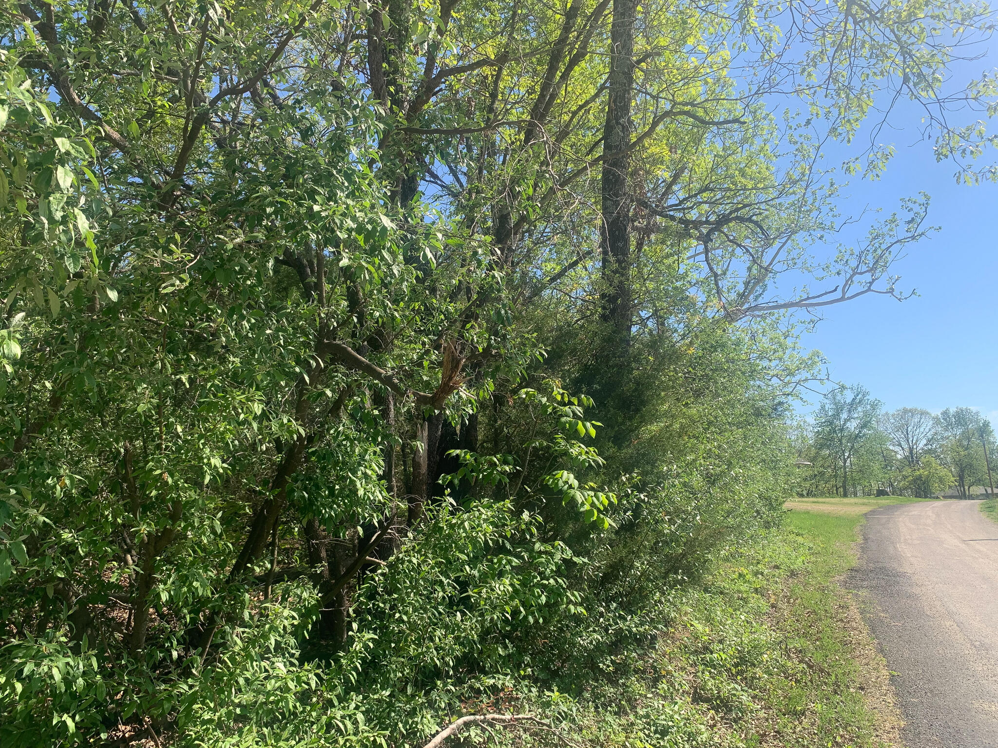 000 County Road 865 Property Photo