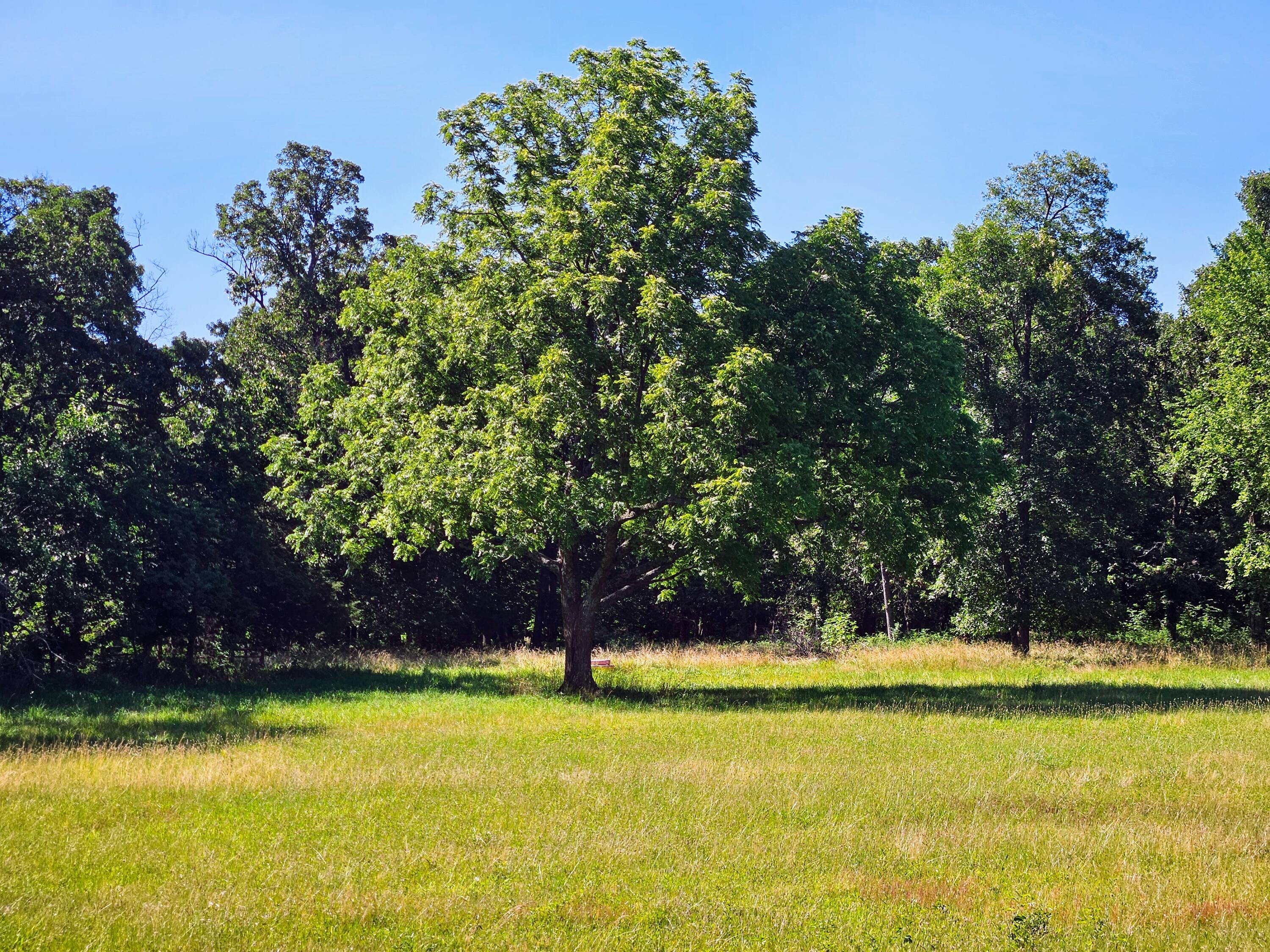 2586 East Theran Avenue Property Photo