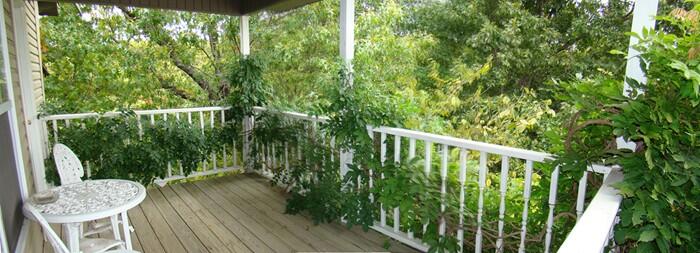 256 Rubys Rest Property Photo 111