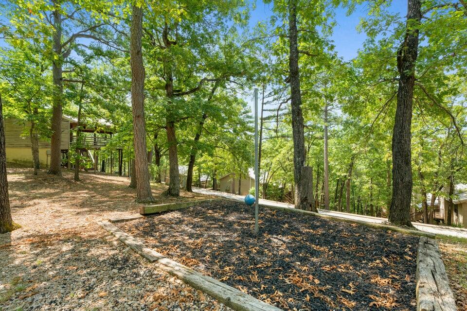 255 Ozark Mountain Resort Drive Property Photo 38
