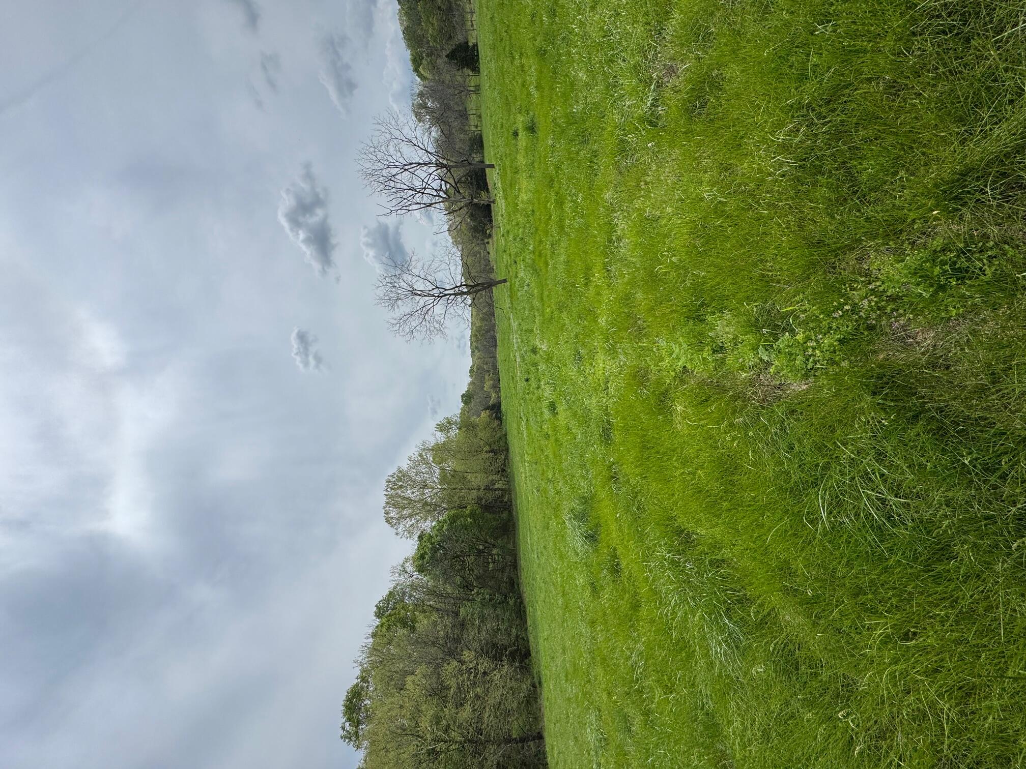 Tbd Miser Hollow Road Property Photo