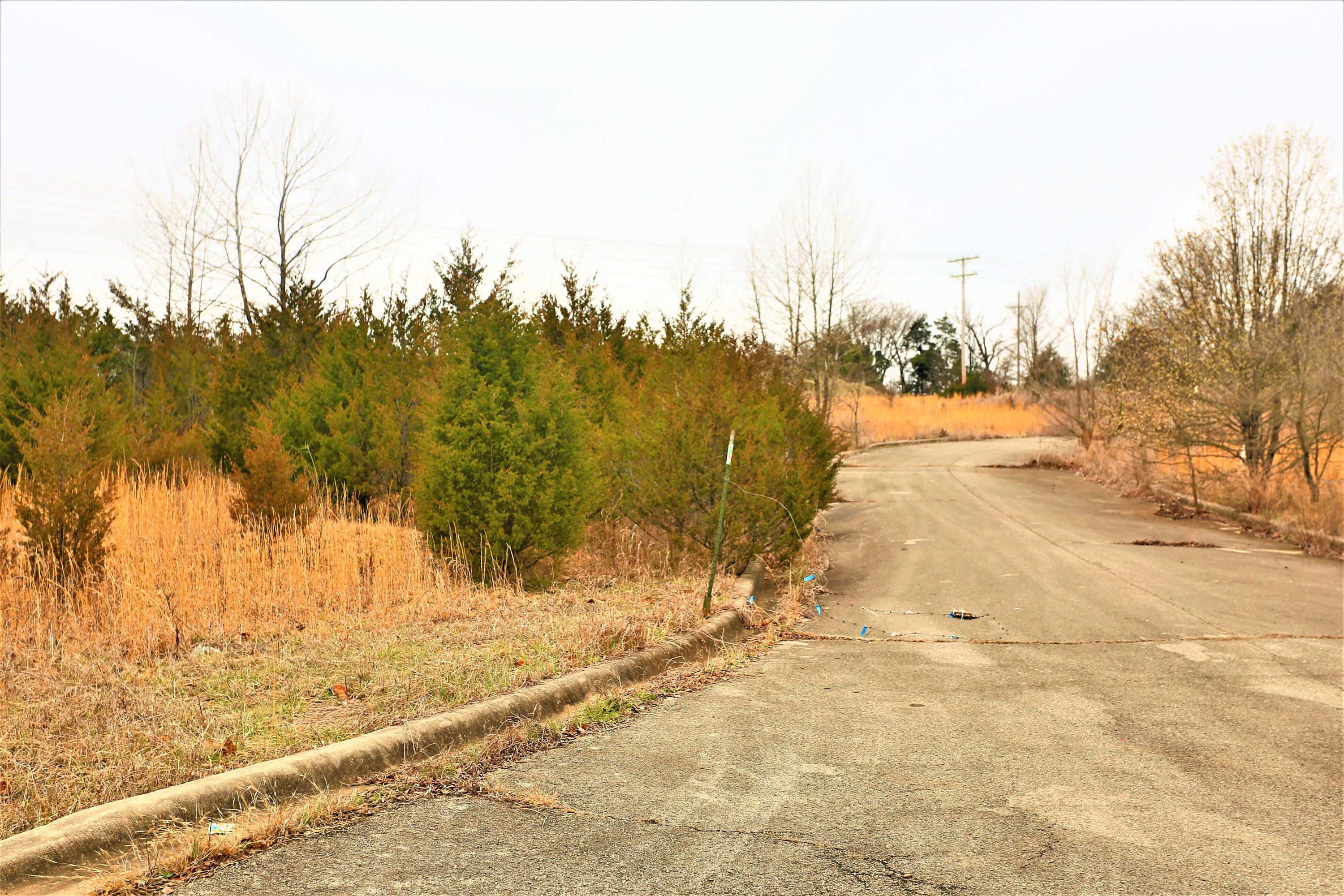 1278 Coon Creek Road Property Photo 6