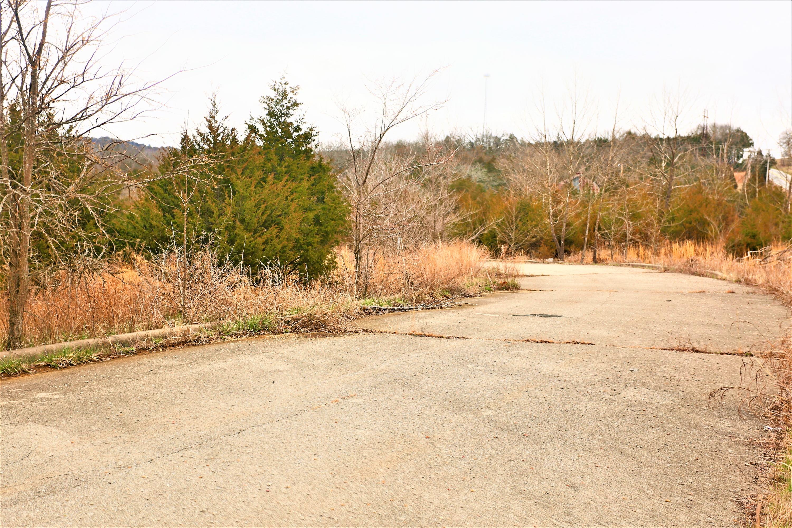 1278 Coon Creek Road Property Photo 7