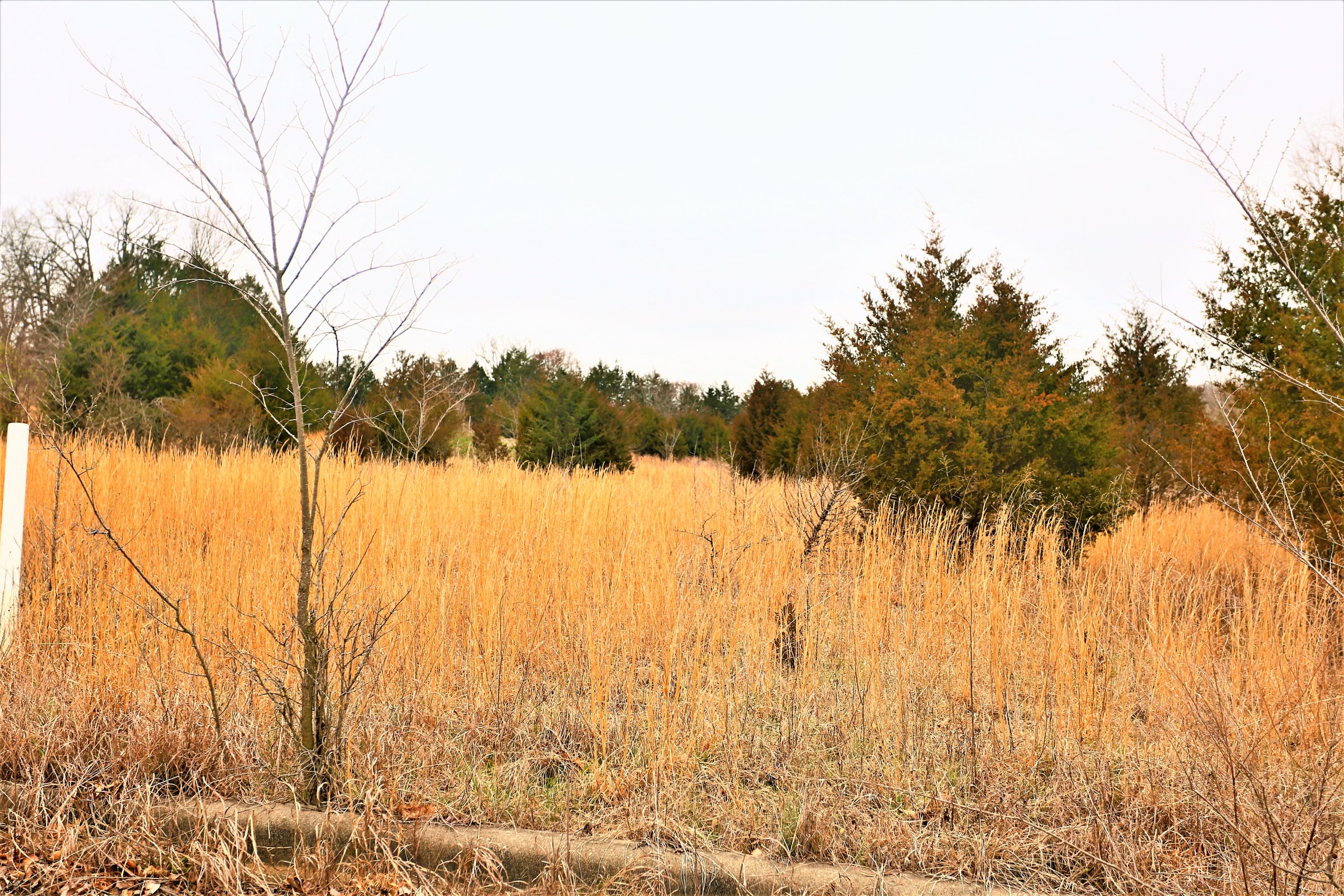 1278 Coon Creek Road Property Photo 8