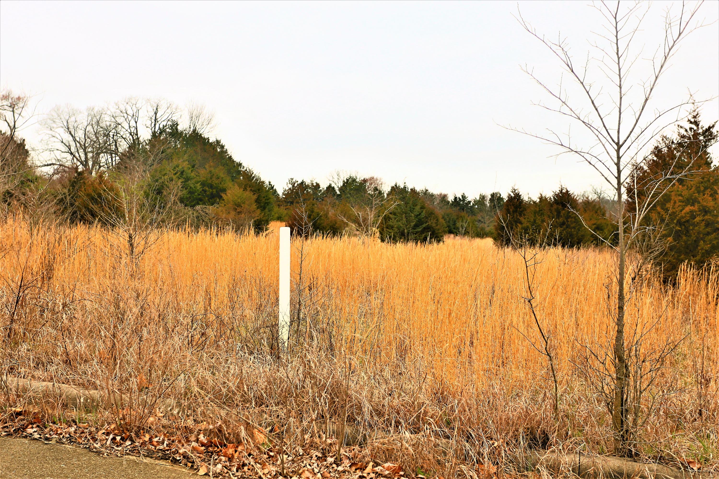 1278 Coon Creek Road Property Photo 9