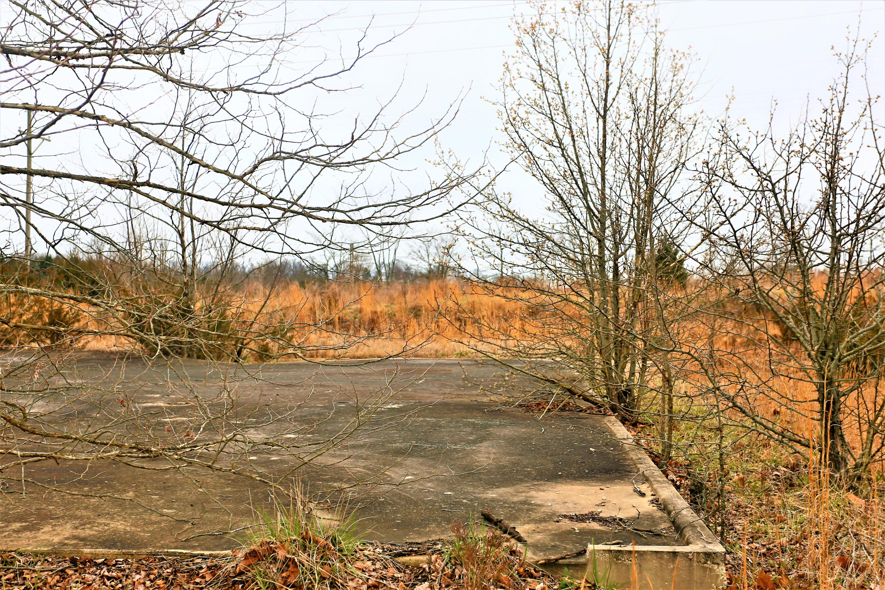 1278 Coon Creek Road Property Photo 10