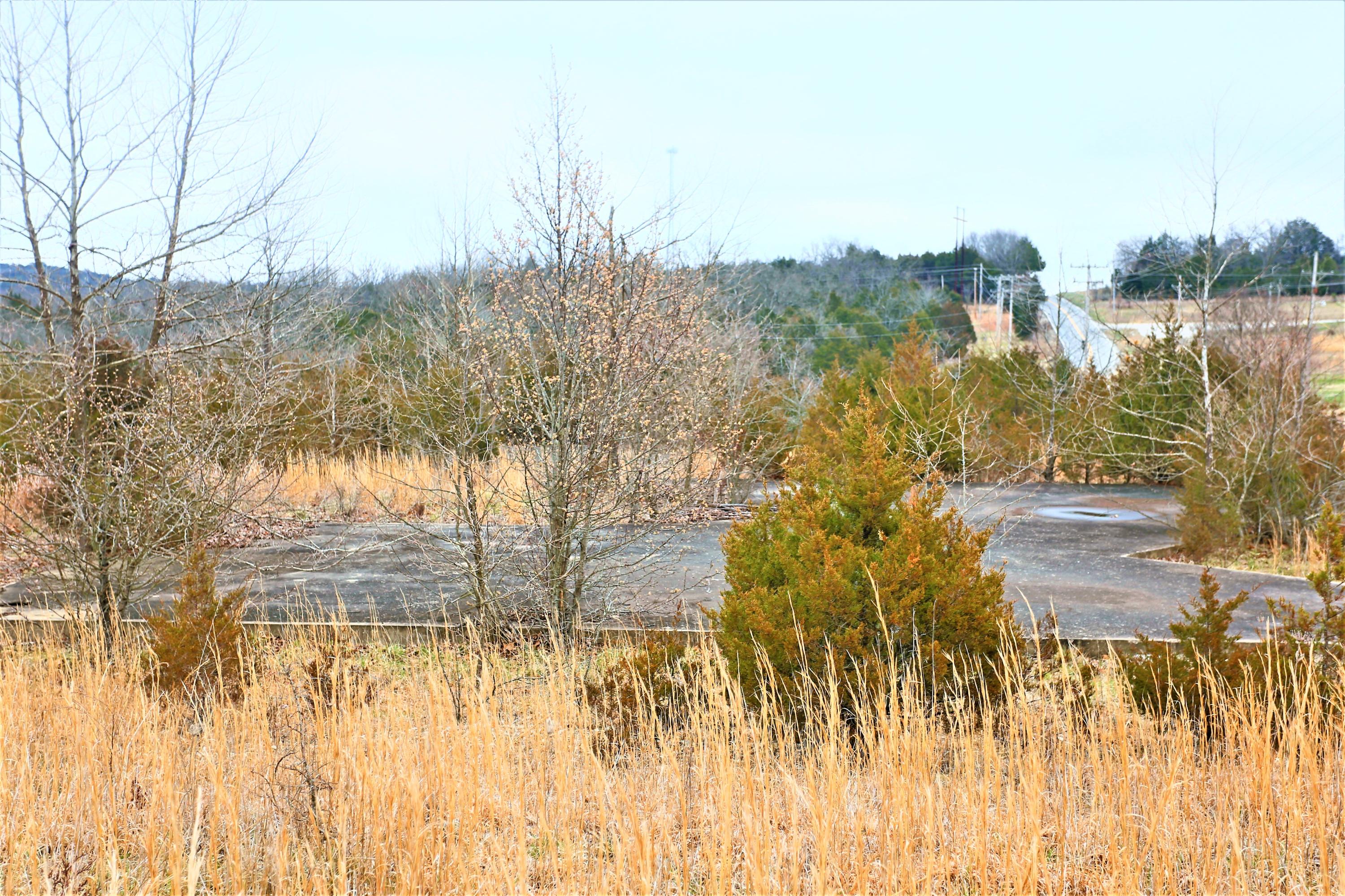 1278 Coon Creek Road Property Photo 11