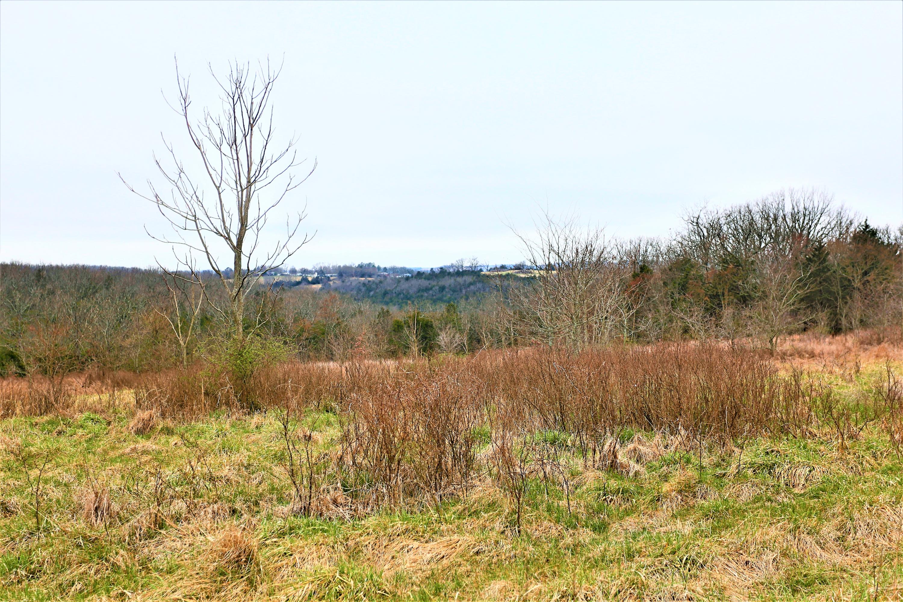 1278 Coon Creek Road Property Photo 13