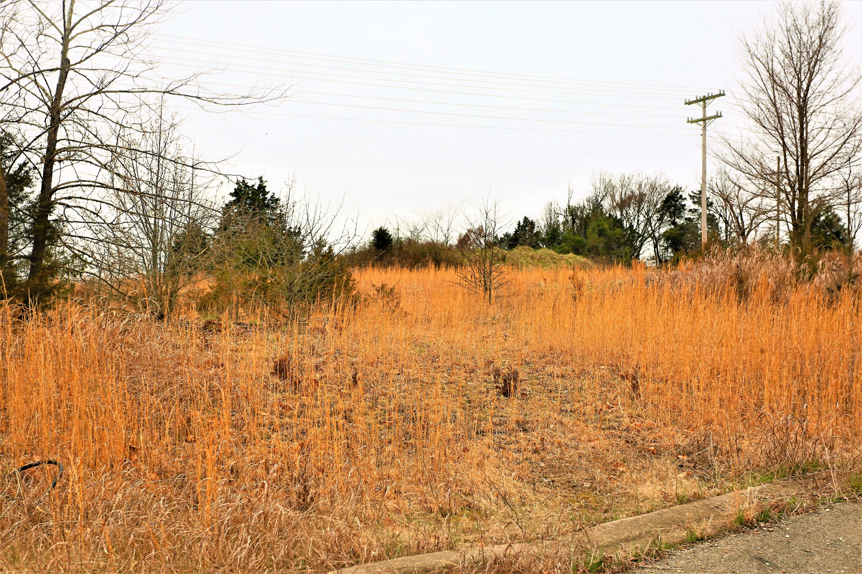 1278 Coon Creek Road Property Photo 14