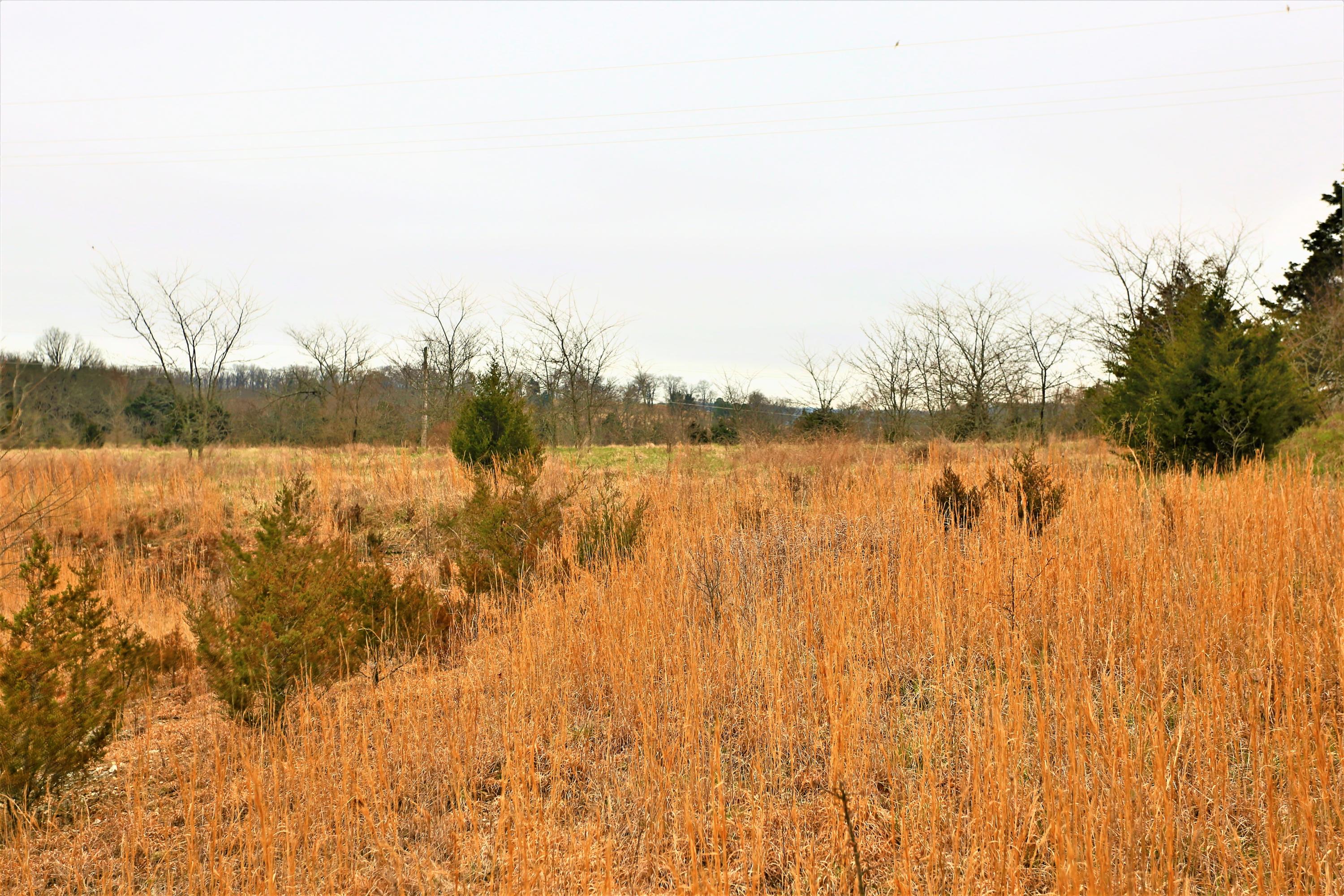 1278 Coon Creek Road Property Photo 15