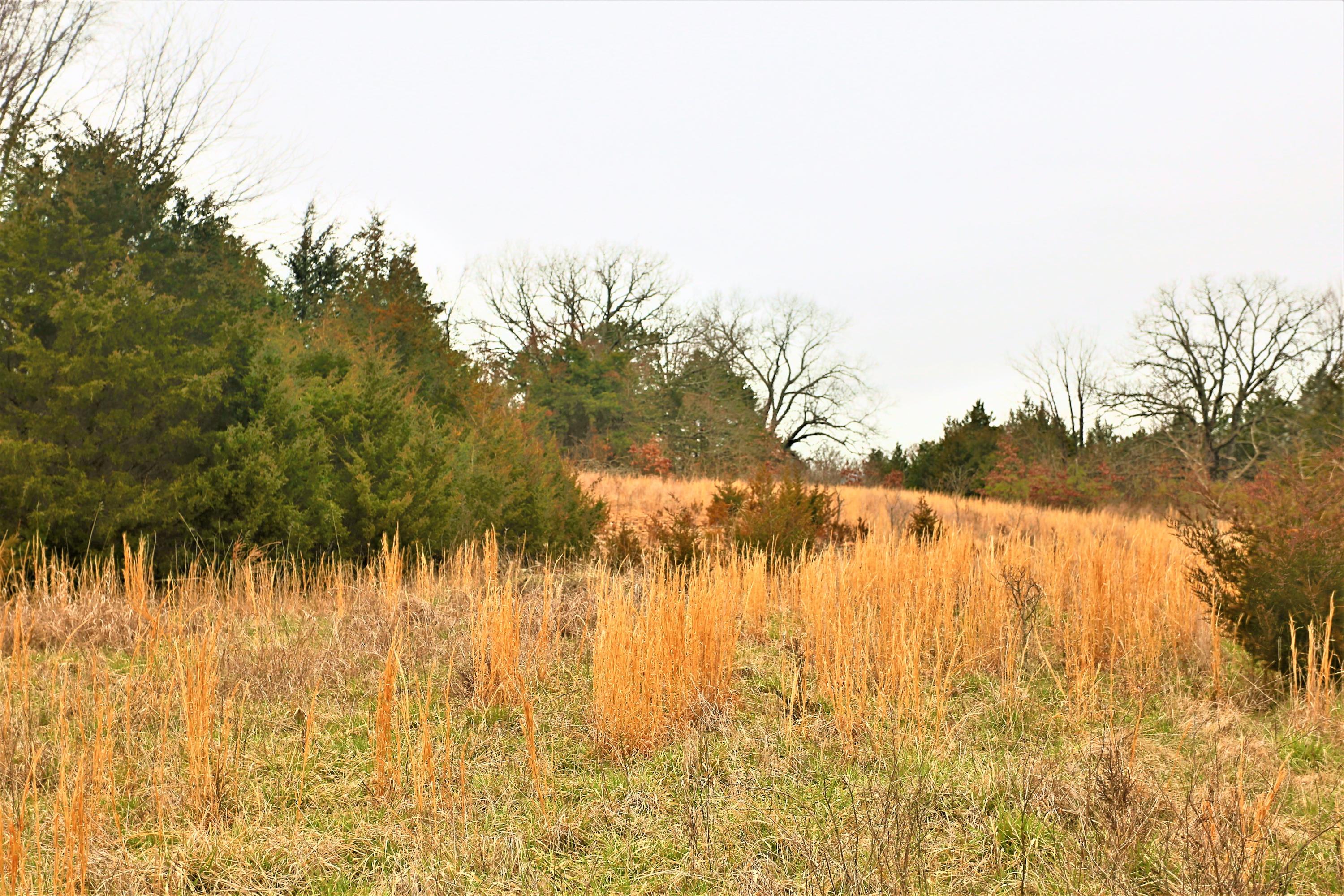 1278 Coon Creek Road Property Photo 16