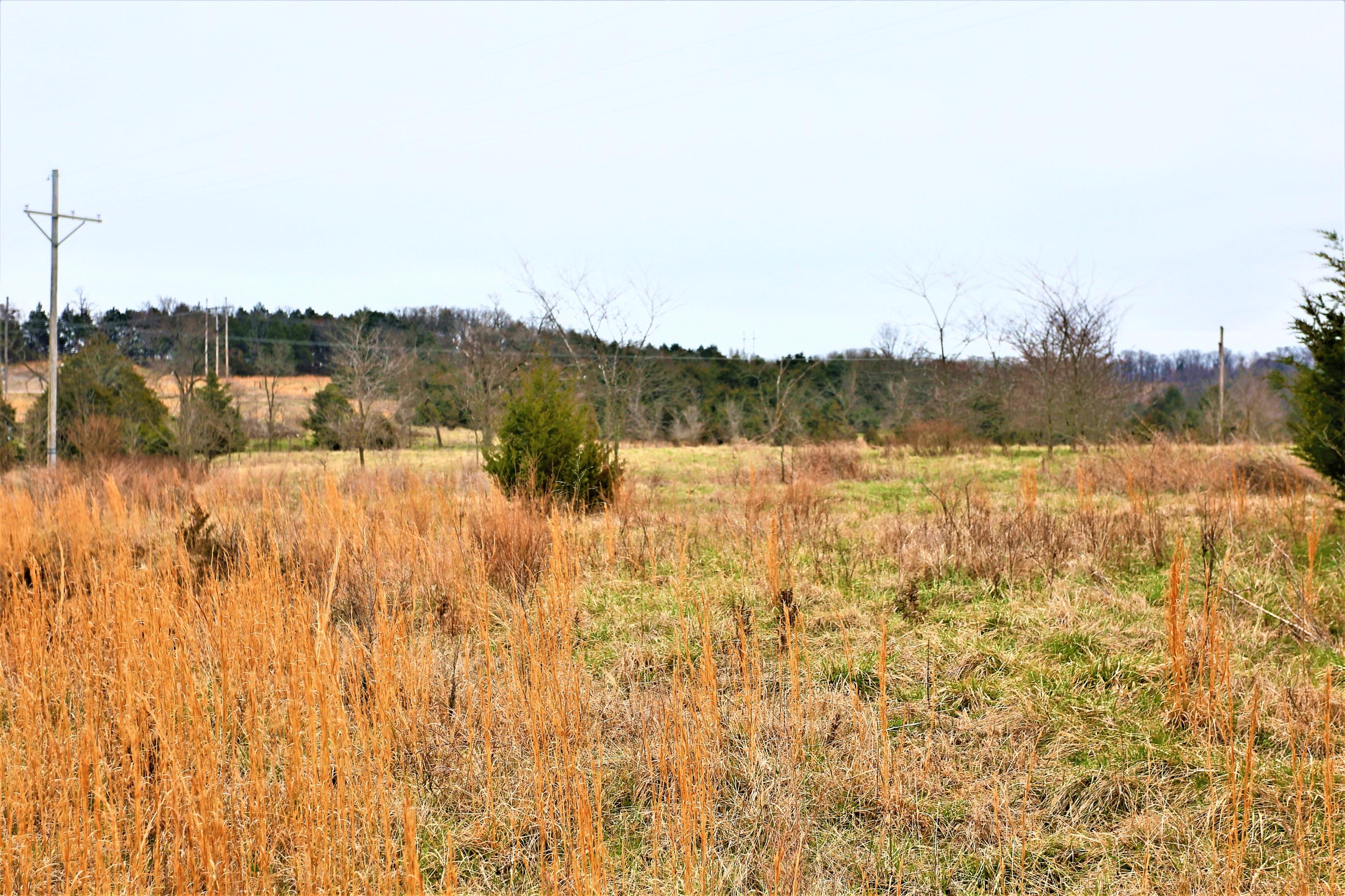 1278 Coon Creek Road Property Photo 18