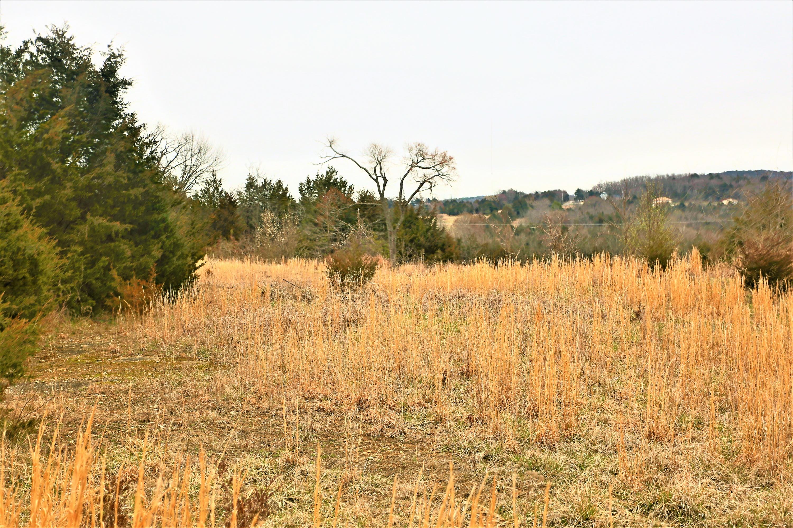 1278 Coon Creek Road Property Photo 19