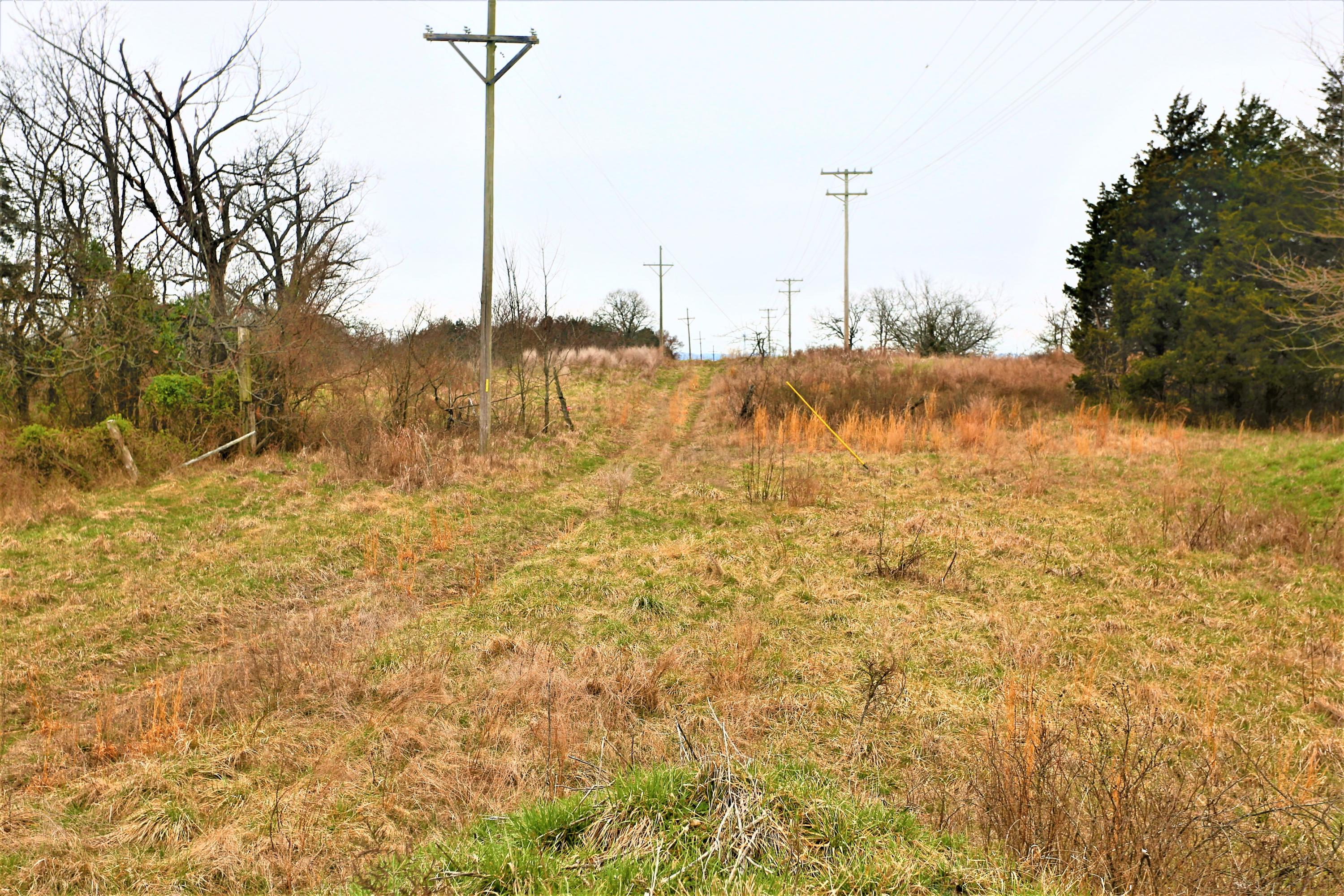 1278 Coon Creek Road Property Photo 23