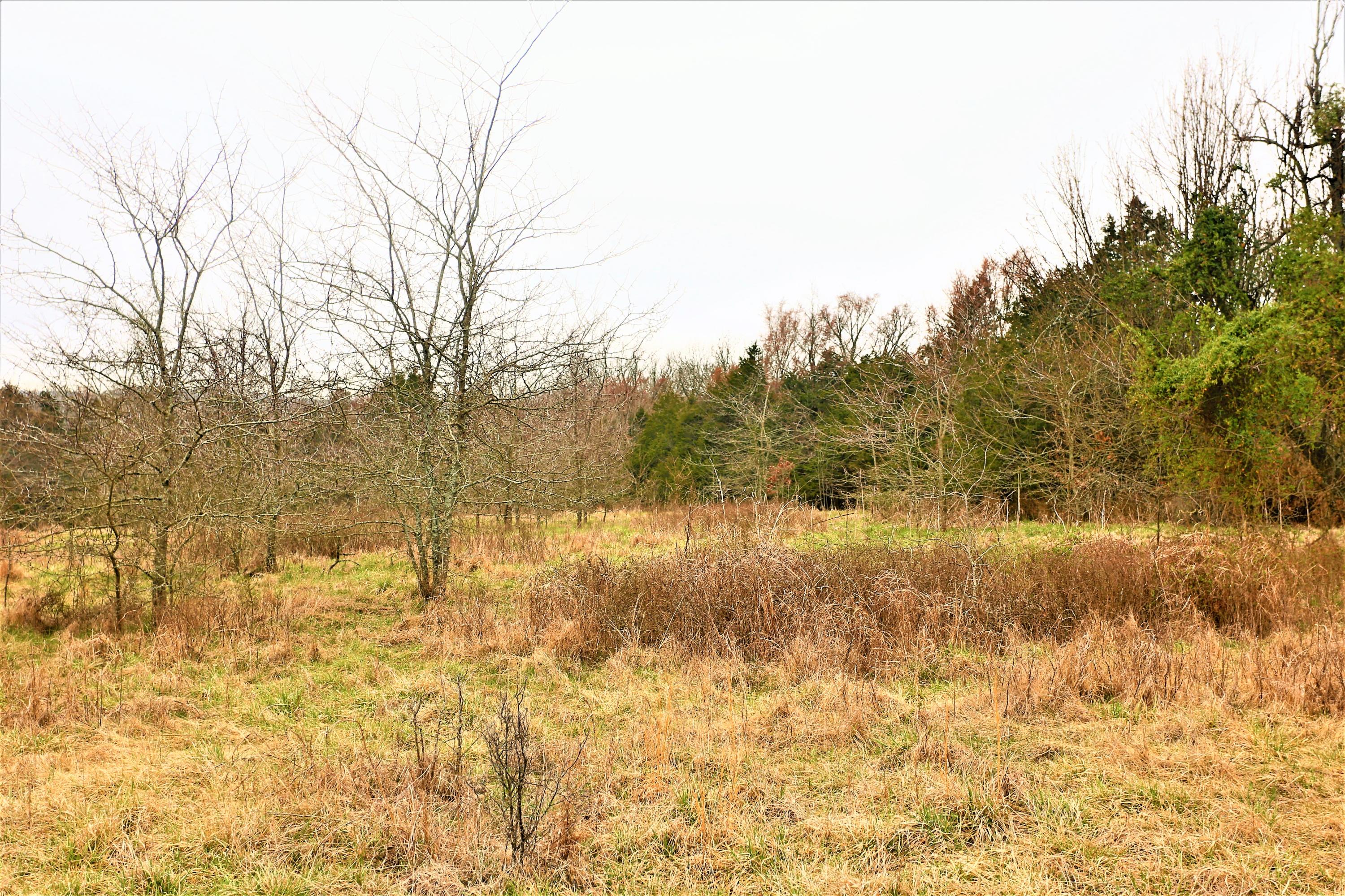 1278 Coon Creek Road Property Photo 25
