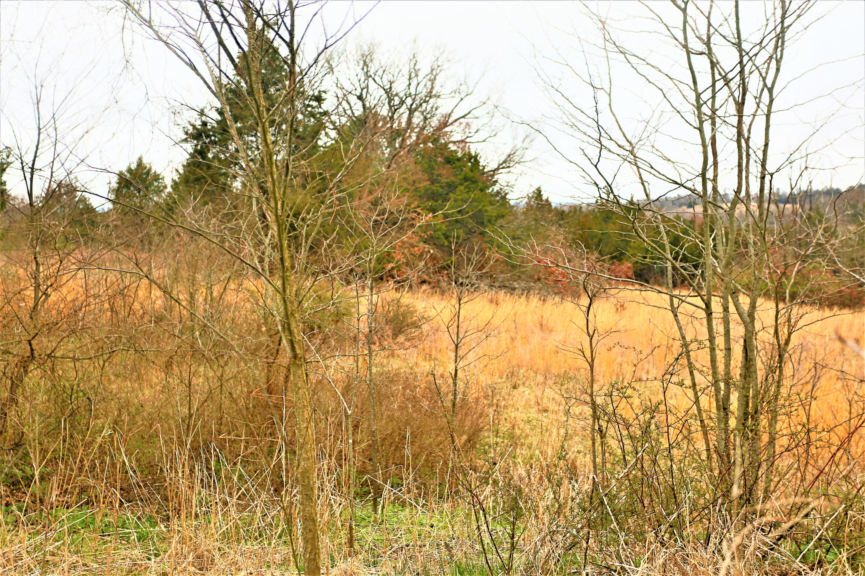 1278 Coon Creek Road Property Photo 27