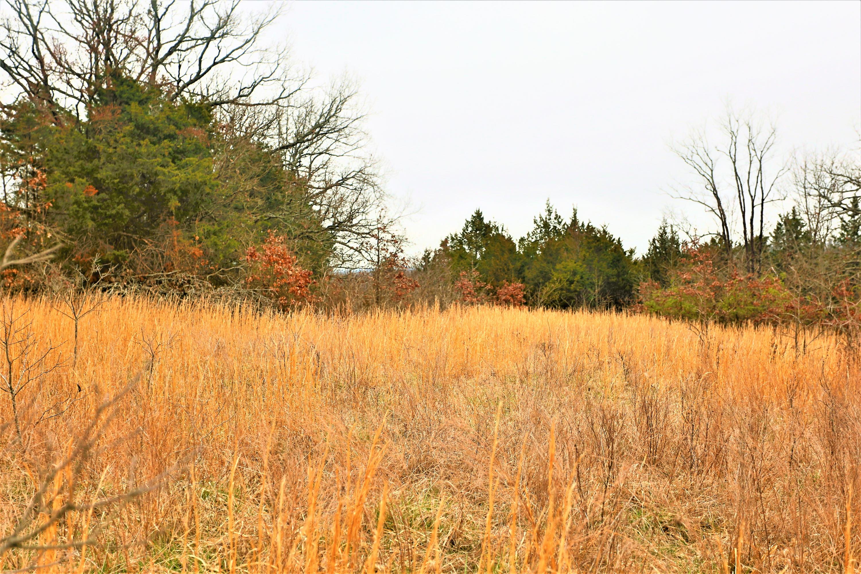 1278 Coon Creek Road Property Photo 28