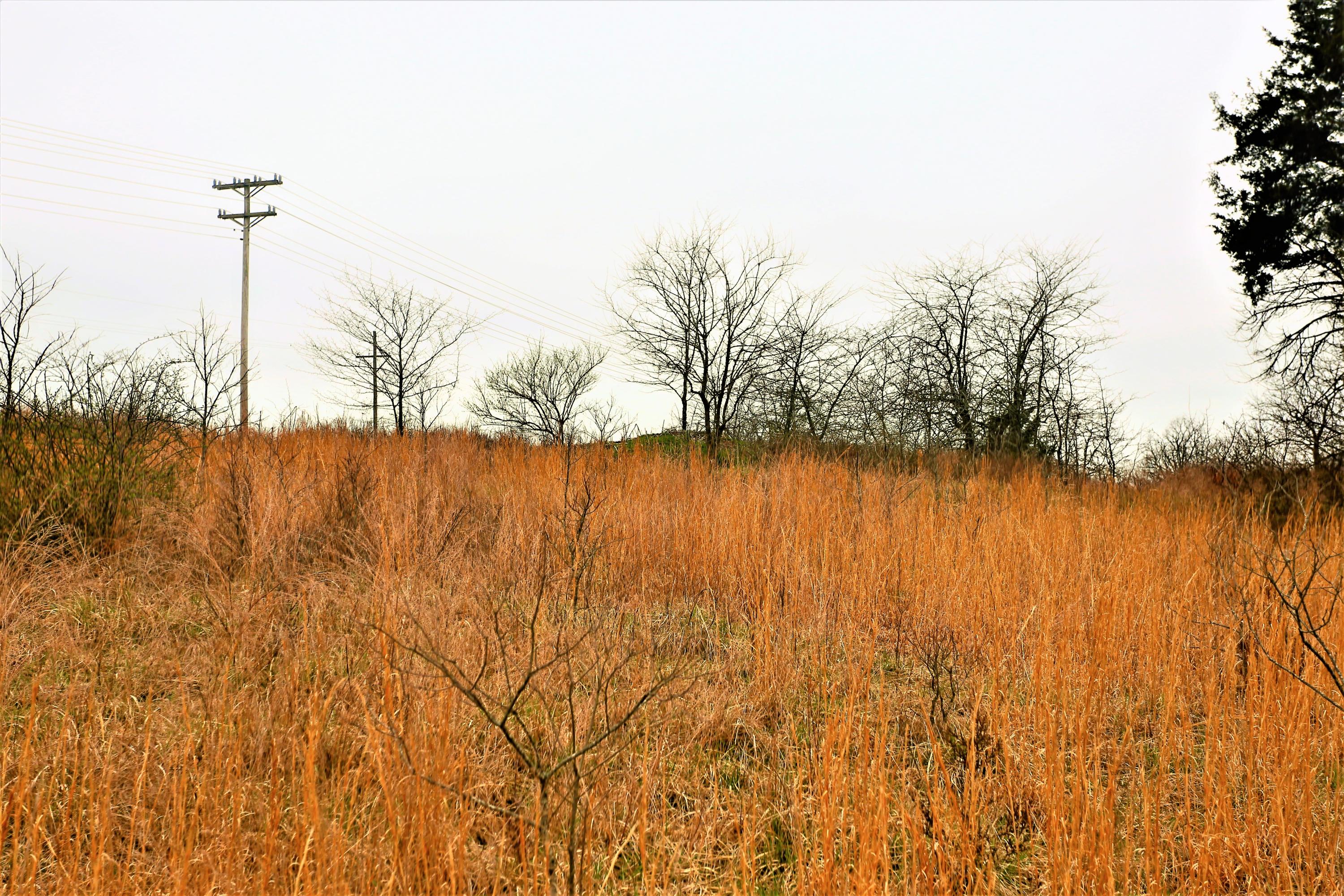 1278 Coon Creek Road Property Photo 29