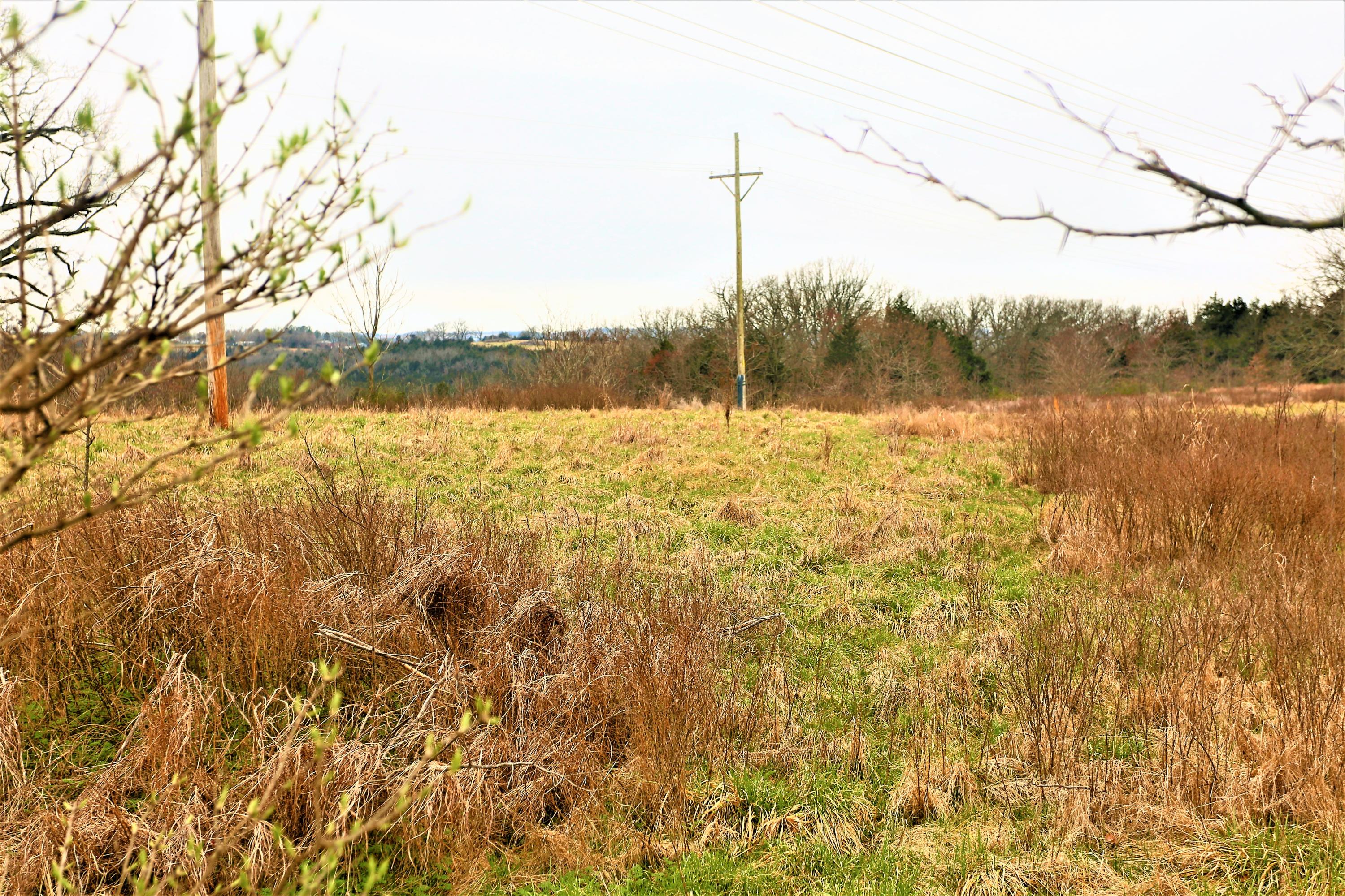 1278 Coon Creek Road Property Photo 30