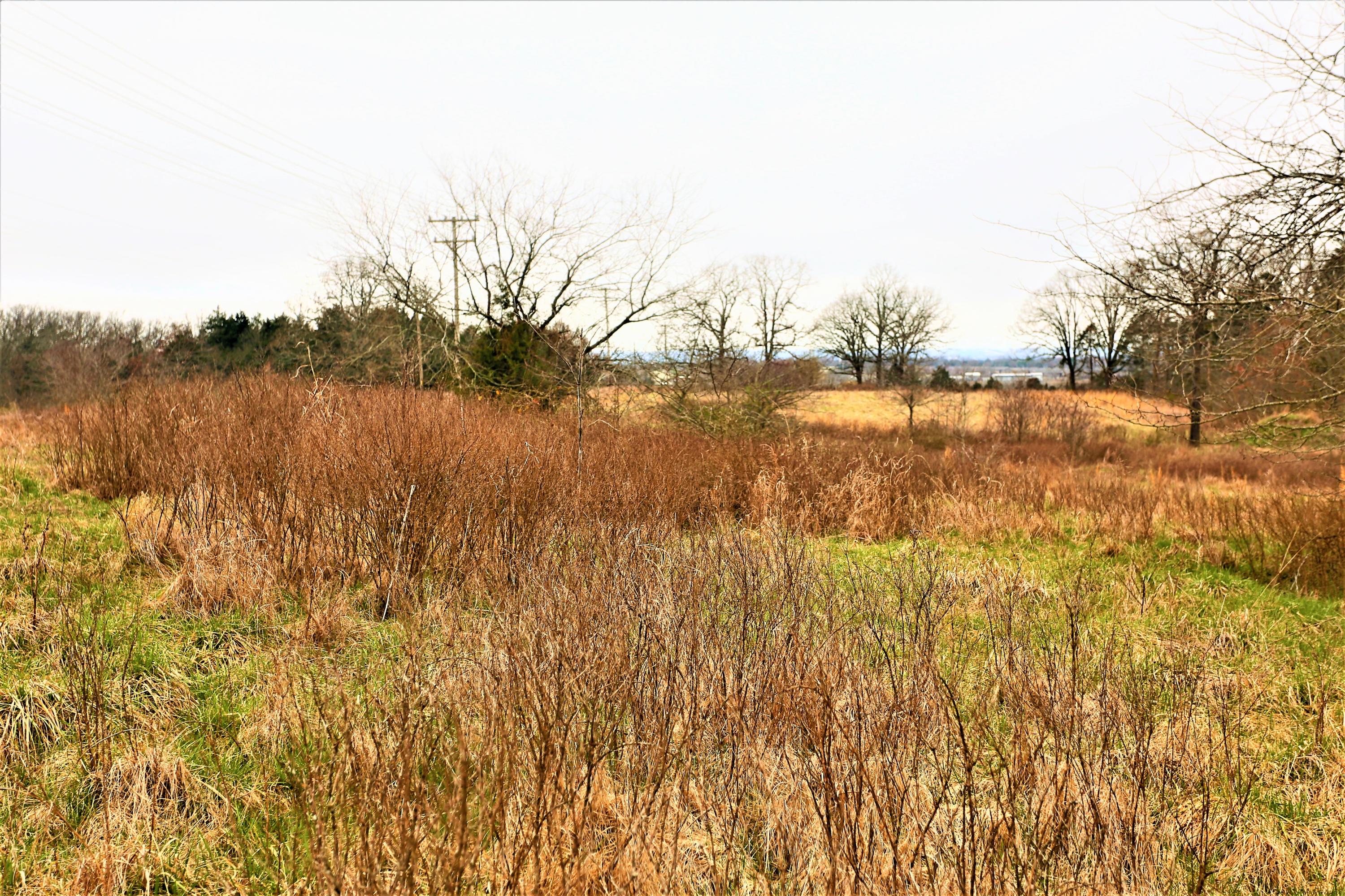 1278 Coon Creek Road Property Photo 31