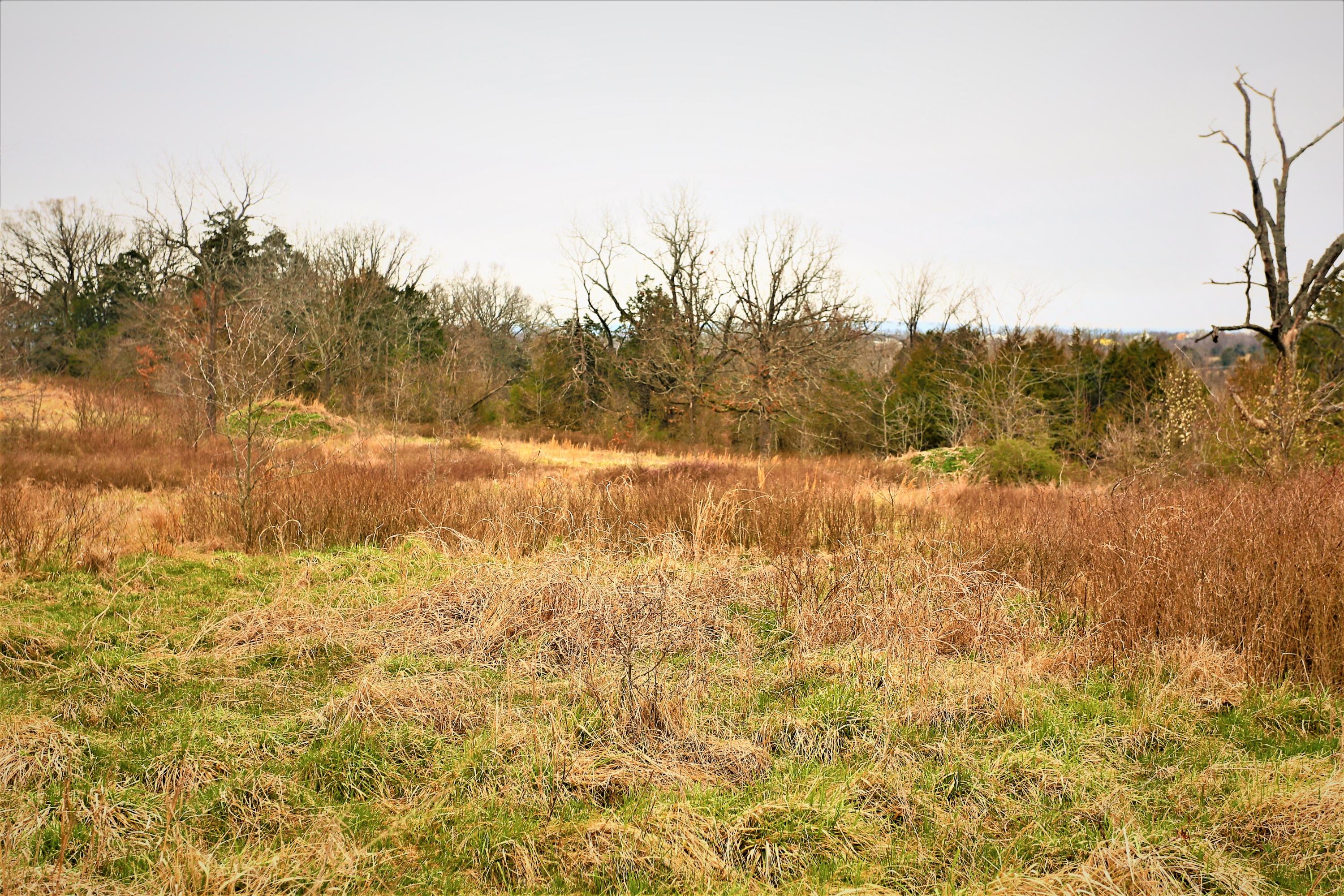 1278 Coon Creek Road Property Photo 33