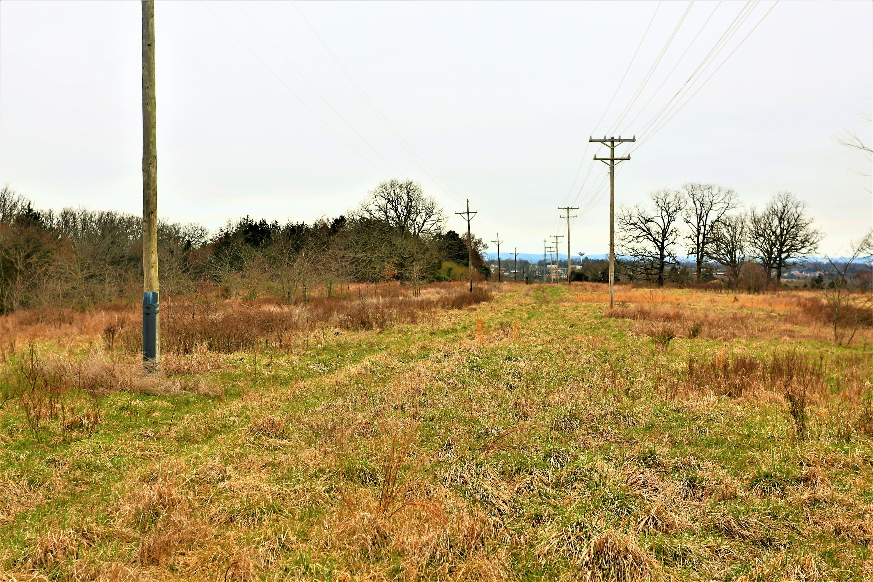 1278 Coon Creek Road Property Photo 34