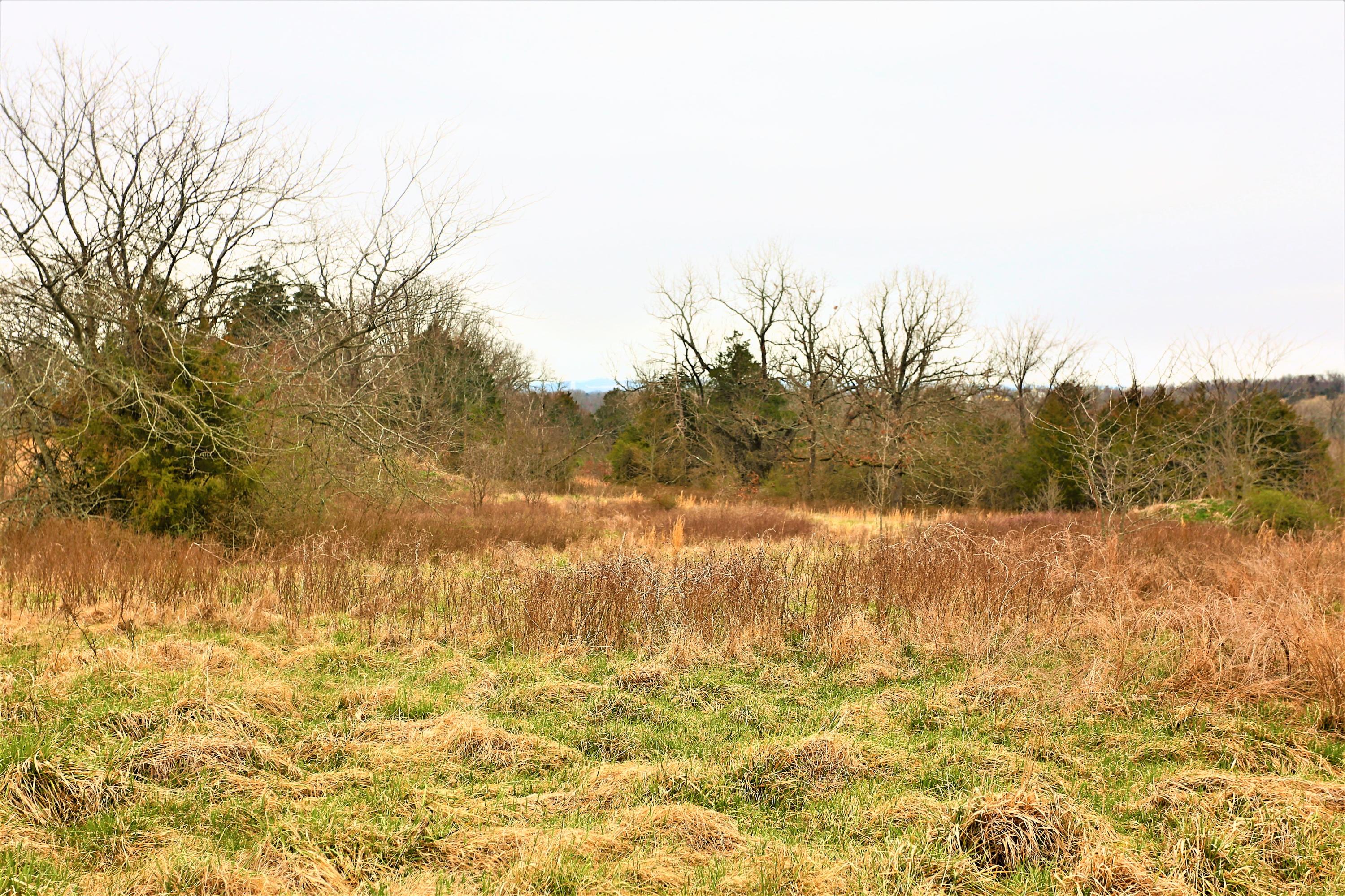 1278 Coon Creek Road Property Photo 35