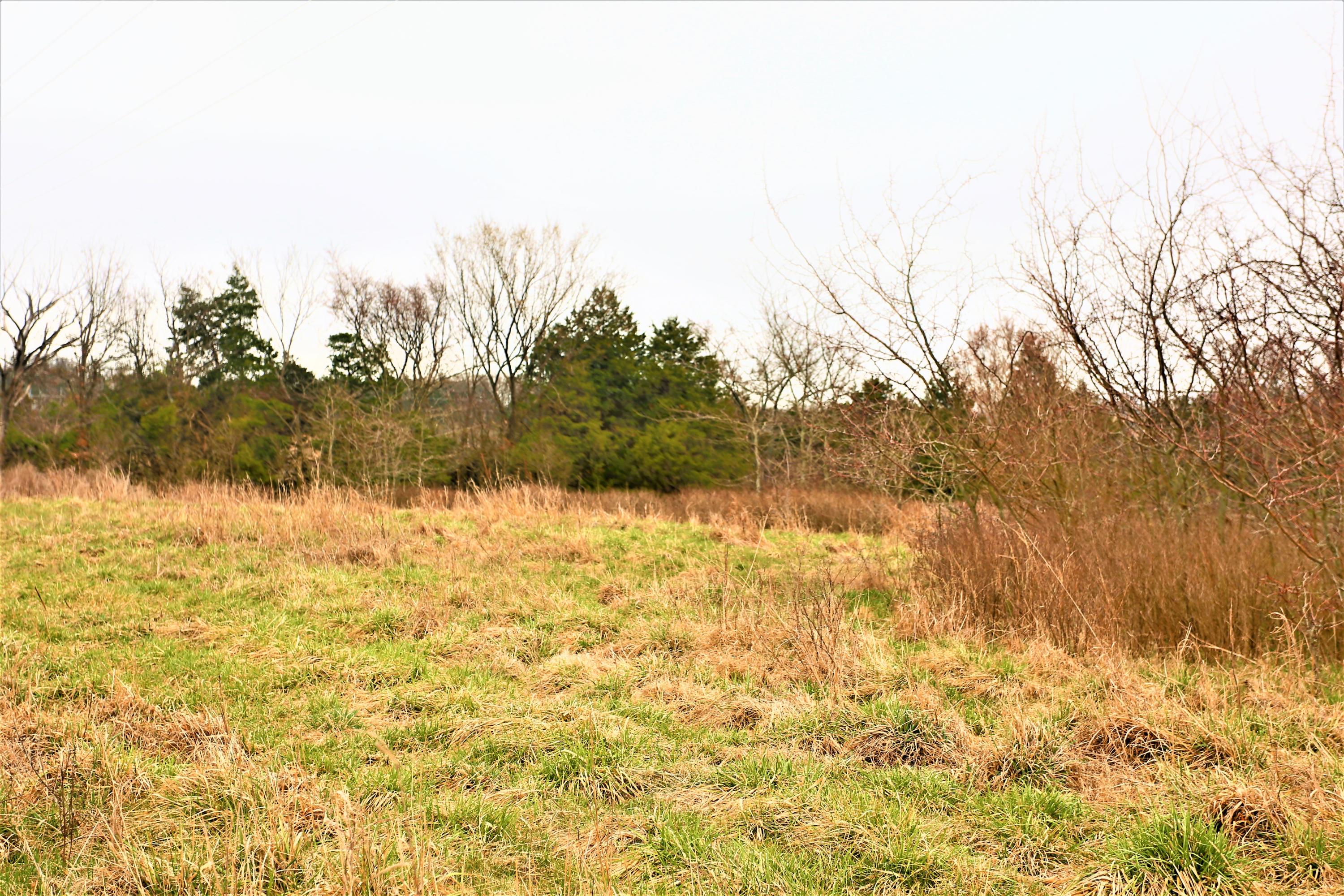 1278 Coon Creek Road Property Photo 36