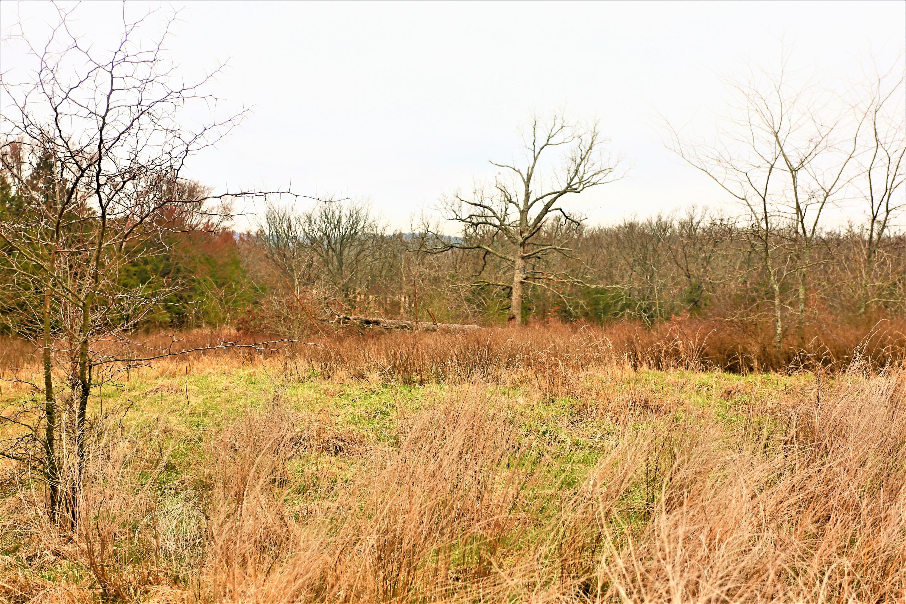 1278 Coon Creek Road Property Photo 39