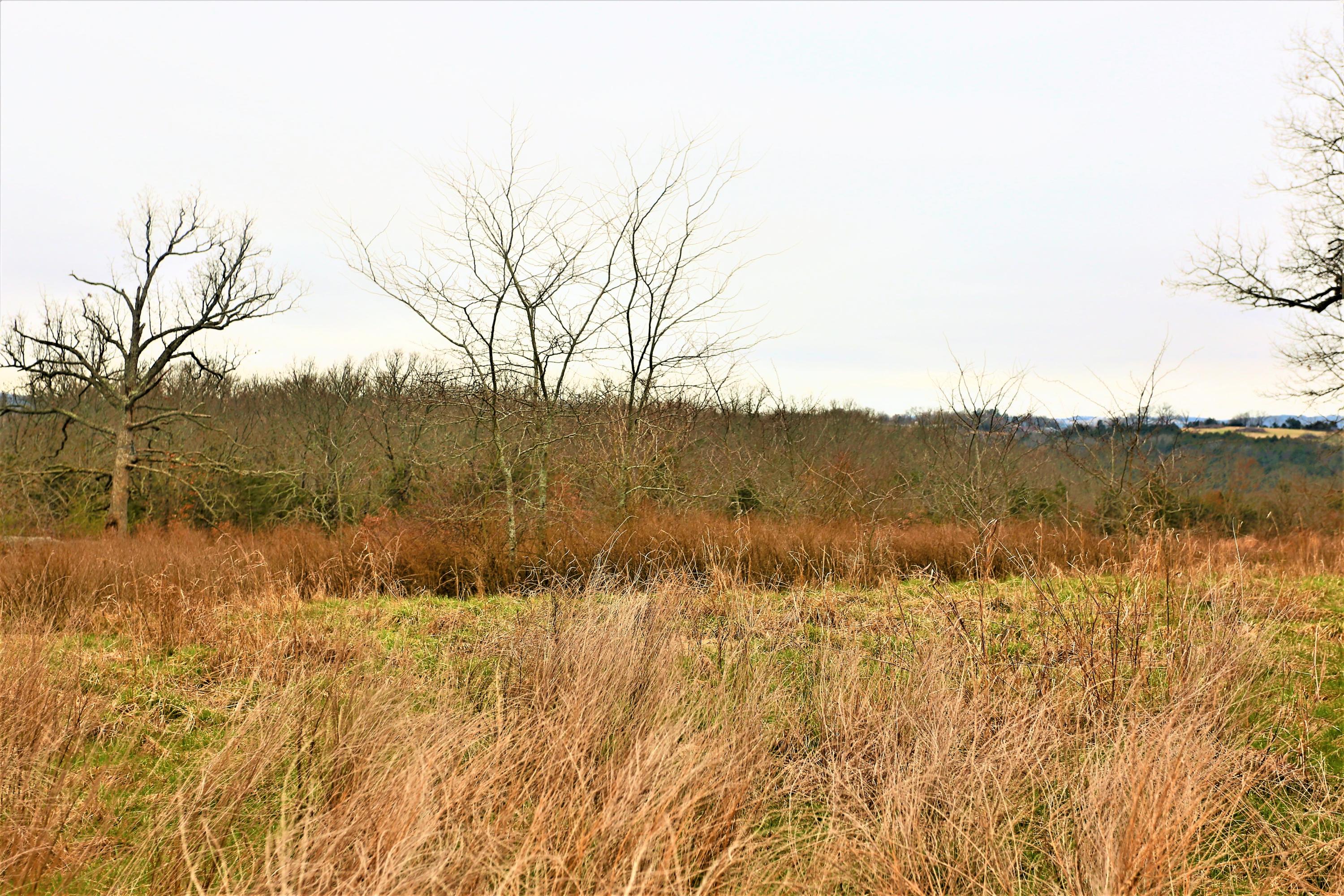 1278 Coon Creek Road Property Photo 40