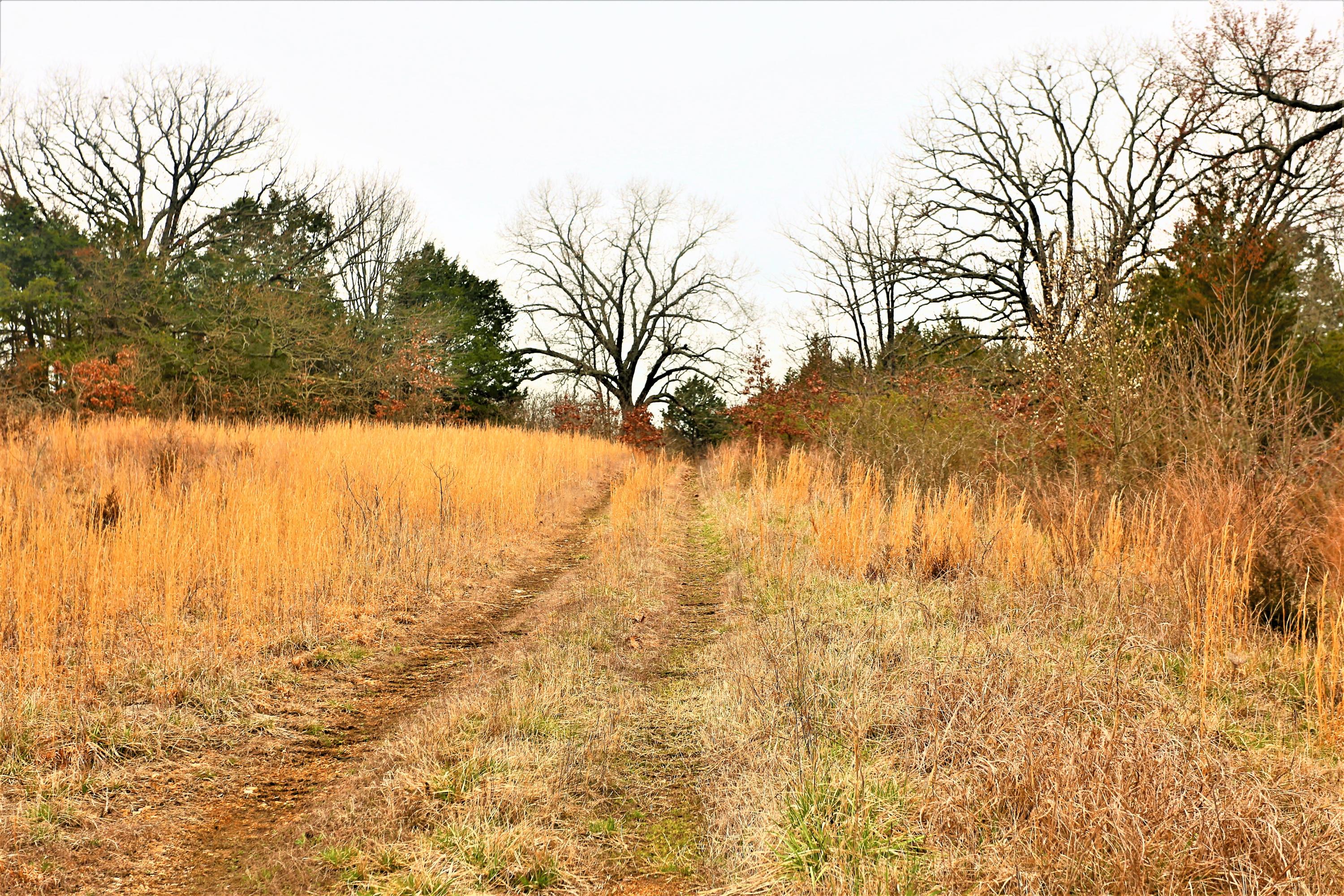 1278 Coon Creek Road Property Photo 42