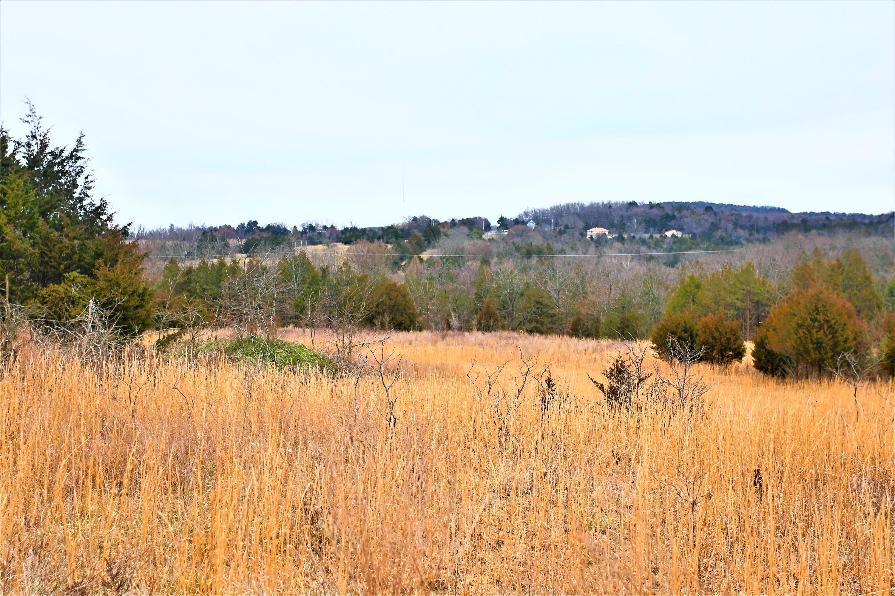 1278 Coon Creek Road Property Photo 43