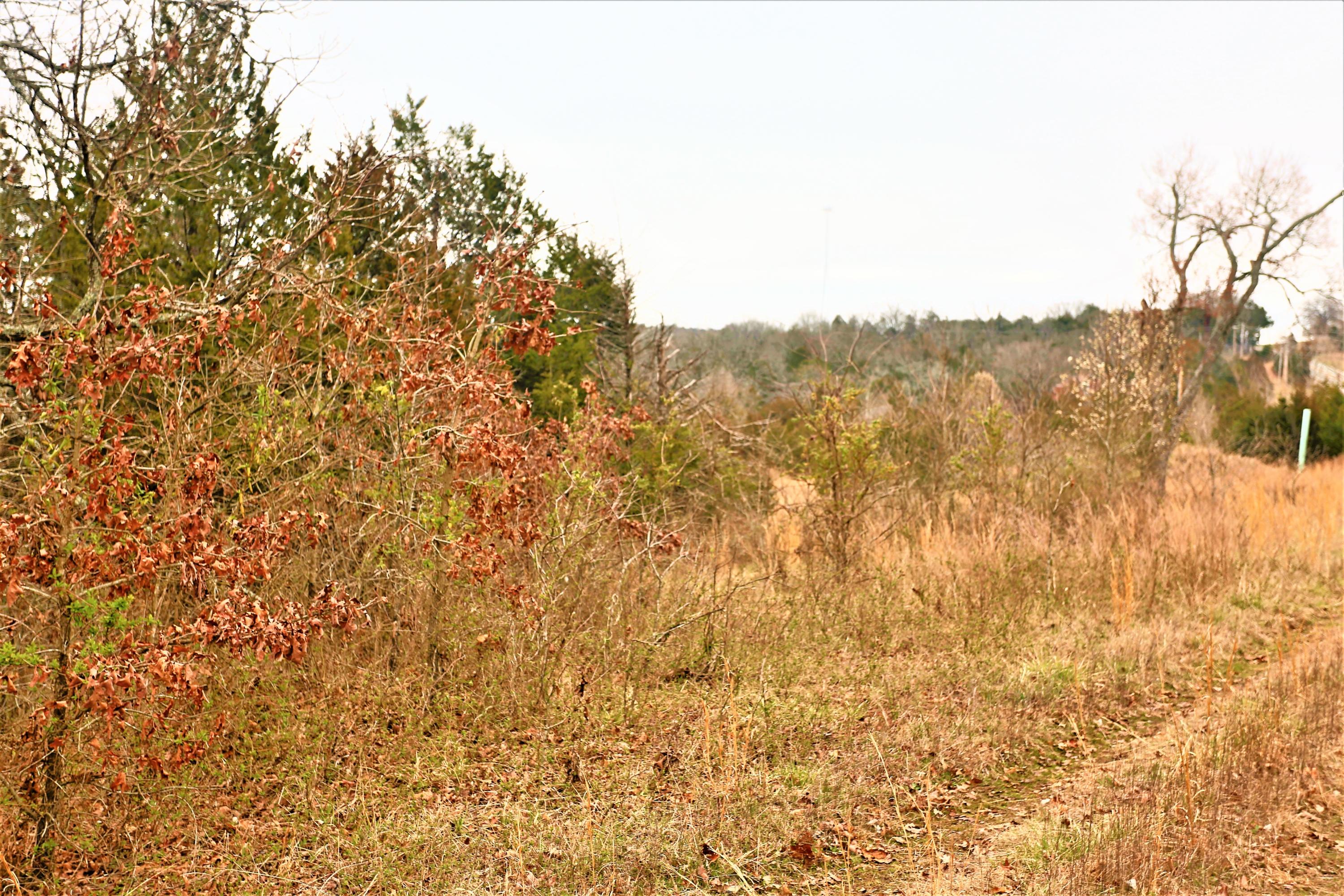 1278 Coon Creek Road Property Photo 44