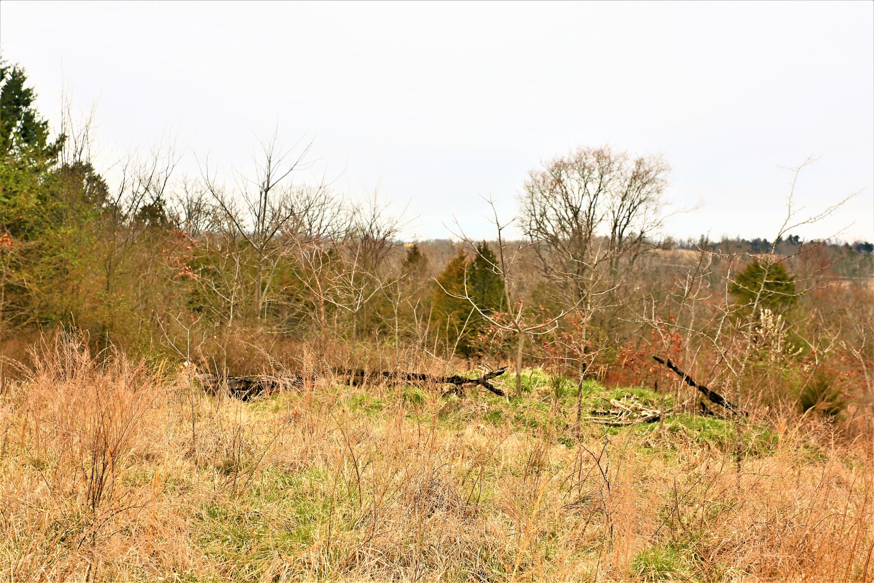 1278 Coon Creek Road Property Photo 45